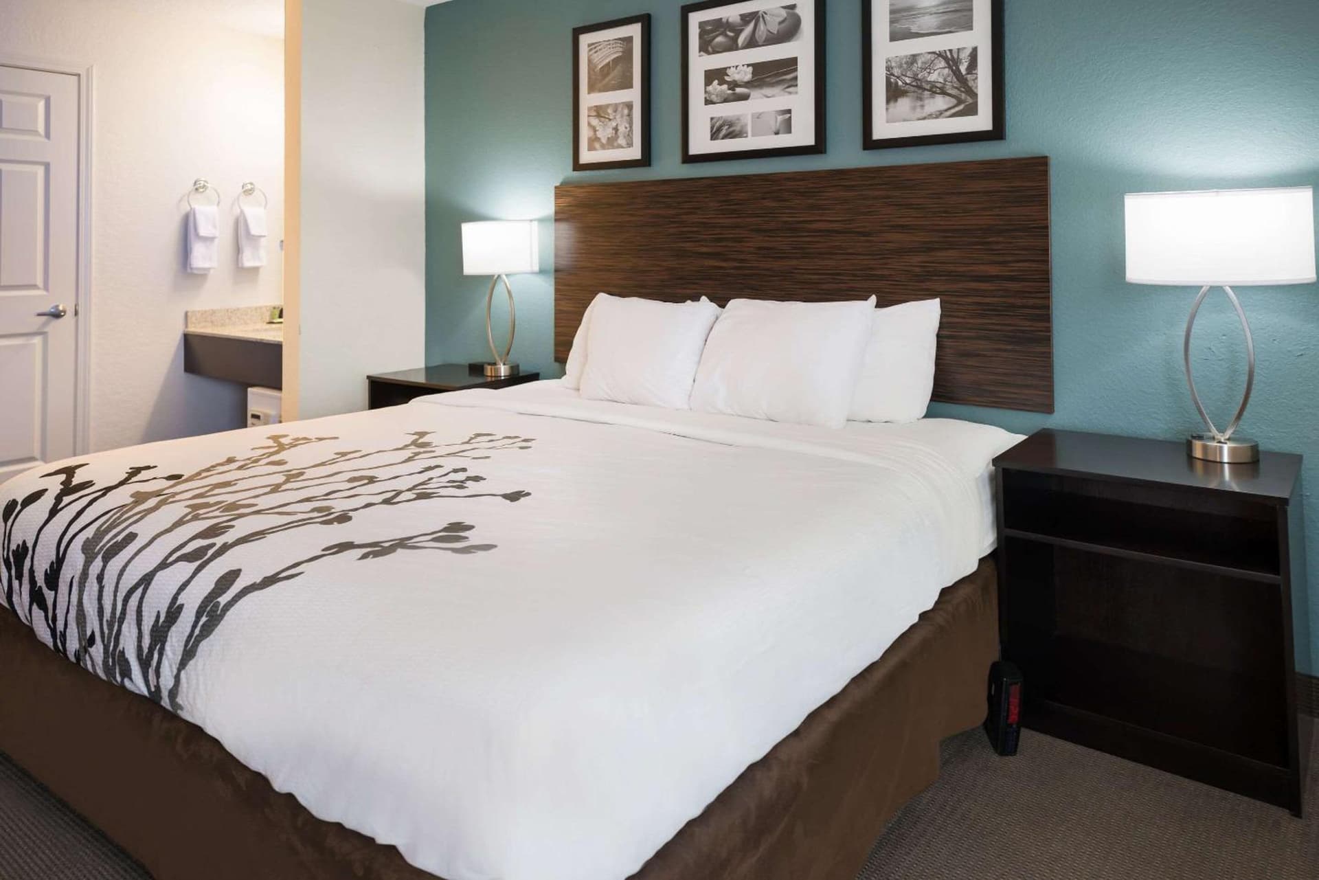 Sleep Inn & Suites Port Clinton gallery photo in Port Clinton, OH — image 20