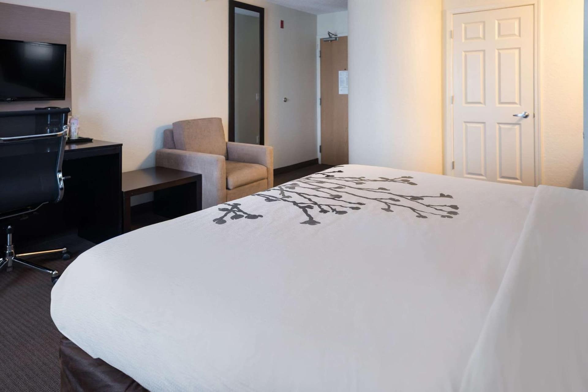 Sleep Inn & Suites Port Clinton gallery photo in Port Clinton, OH — image 22