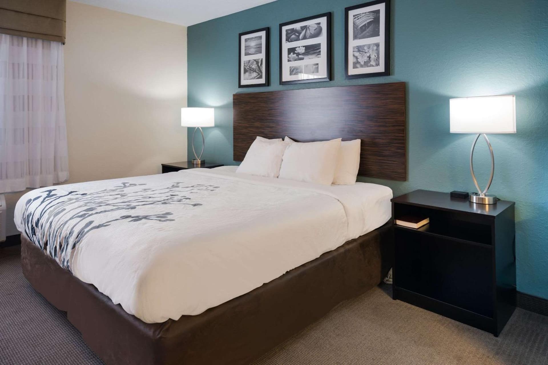 Sleep Inn & Suites Port Clinton gallery photo in Port Clinton, OH — image 5
