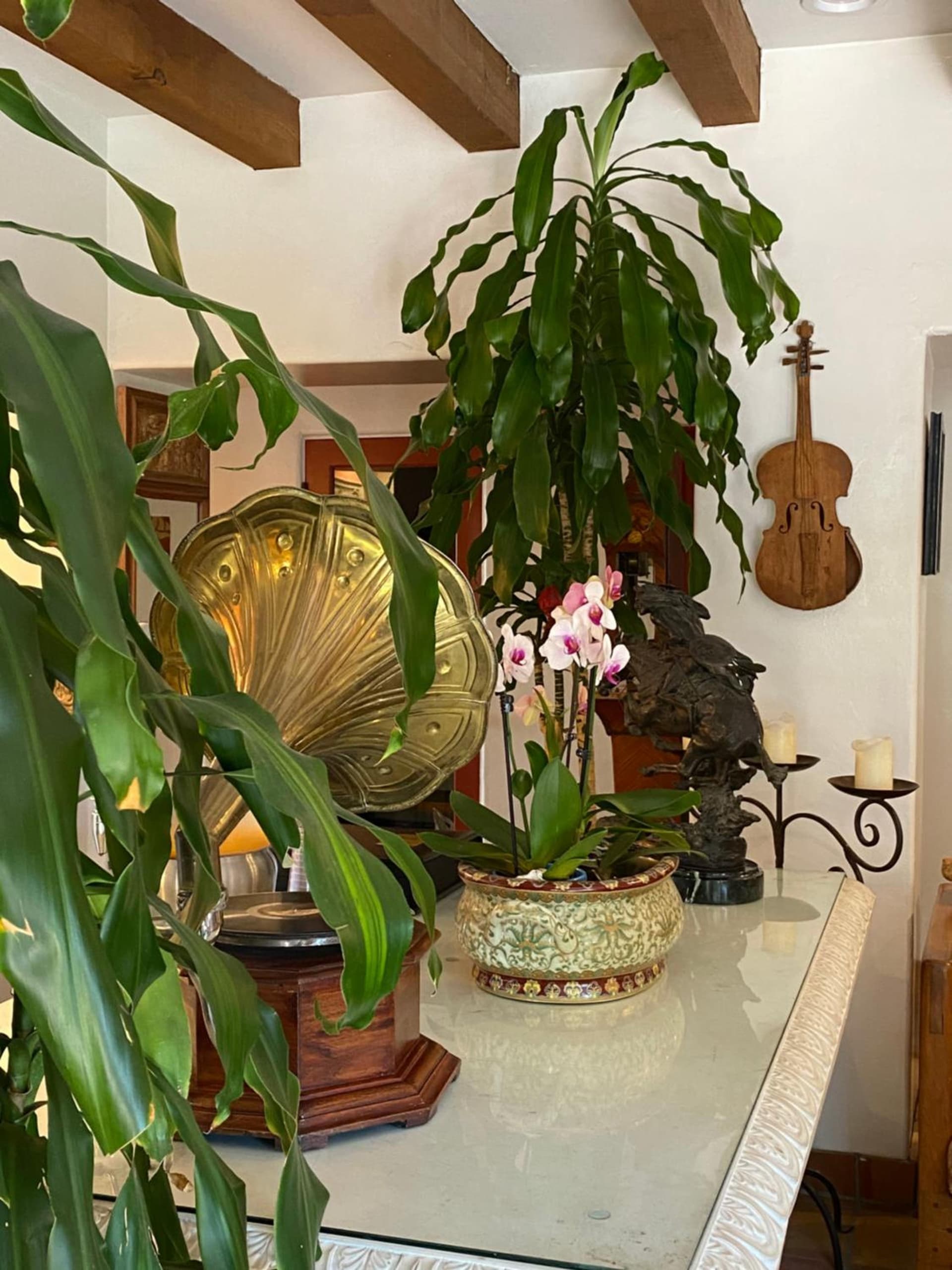 Villa Rosa Inn gallery photo in Santa Barbara, CA — image 45
