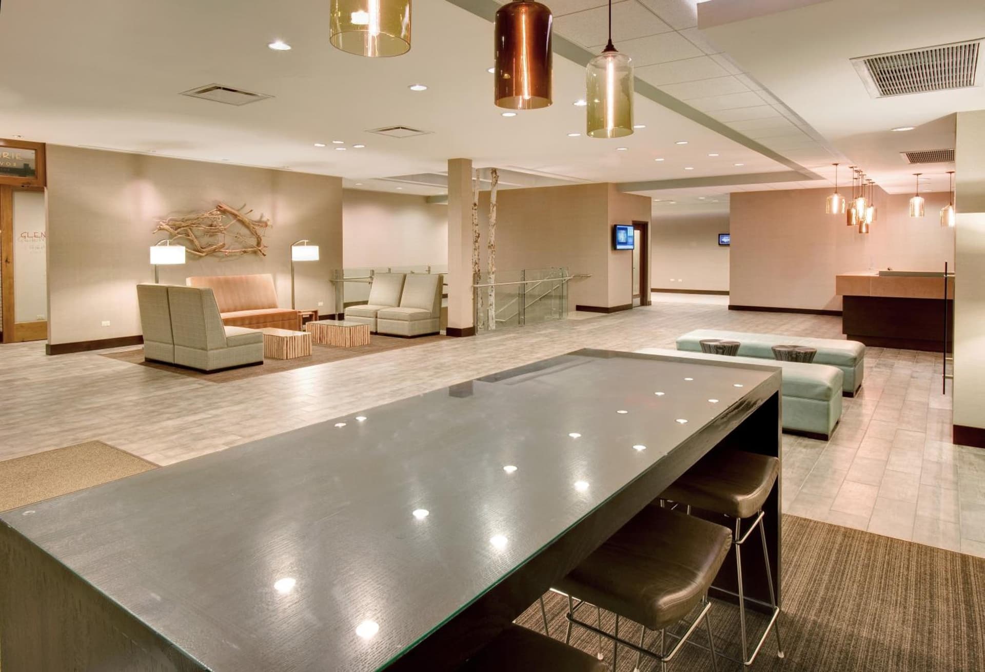 Crowne Plaza Hotel Glen Ellyn/Lombard by IHG gallery photo in Glen Ellyn, IL — image 56