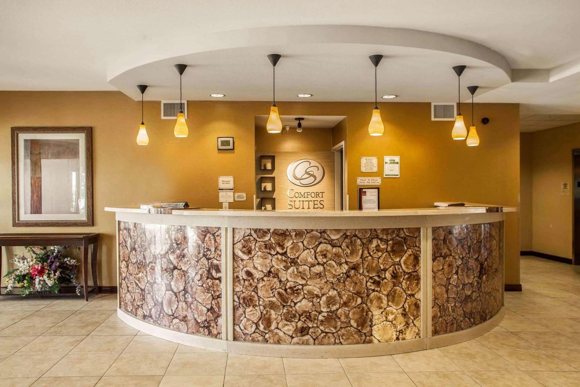 Comfort Suites Bloomington I-55 and I-74 gallery photo in Bloomington, IL — image 42