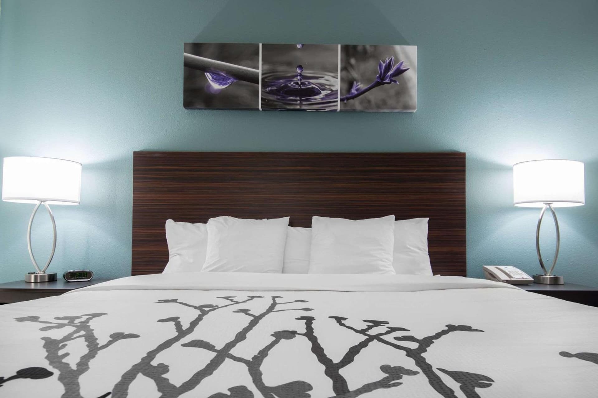 Sleep Inn & Suites Washington near Peoria gallery photo in Washington, IL — image 7