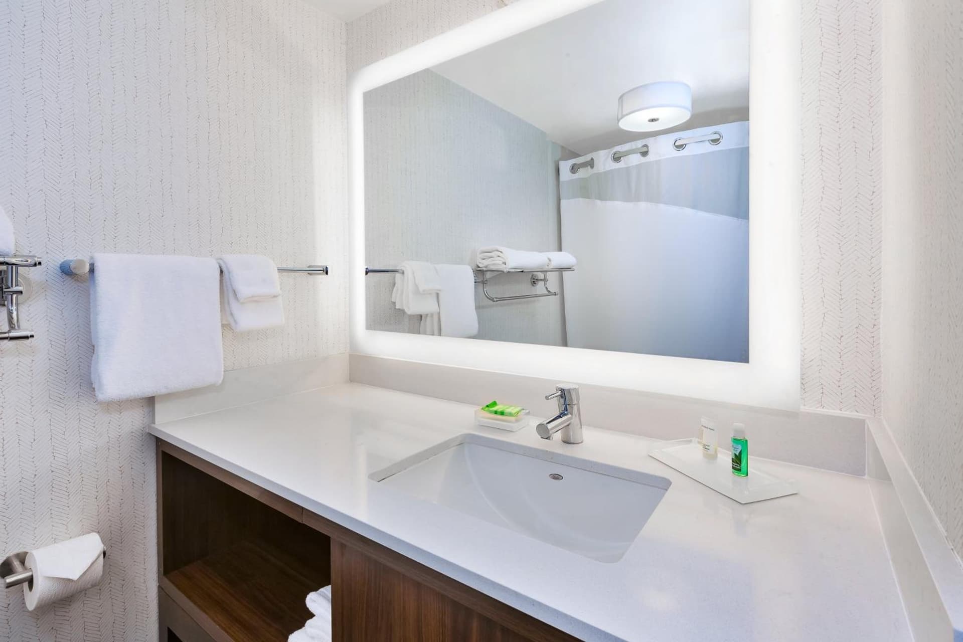 Holiday Inn Grand Rapids Downtown by IHG gallery photo in Grand Rapids, MI — image 28