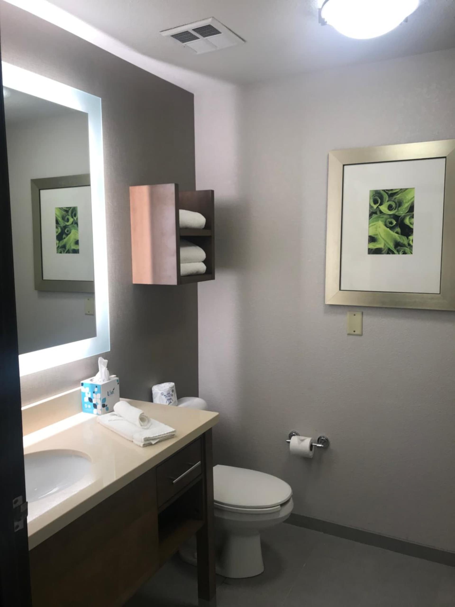Staybridge Suites Columbia-Highway 63 & I-70 by IHG gallery photo in Columbia, MO — image 7