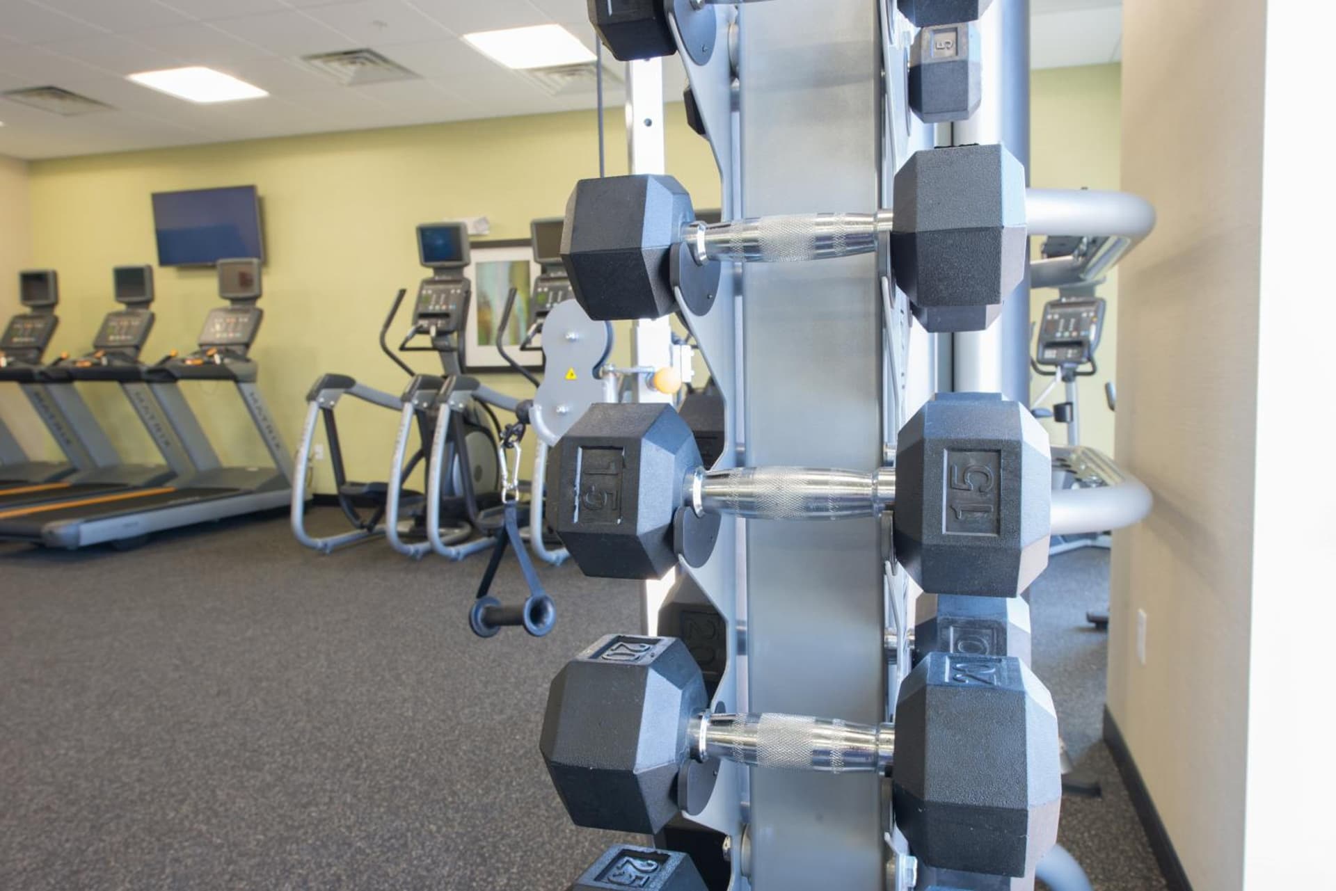 Holiday Inn Bismarck by IHG gallery photo in Bismarck, ND — image 75