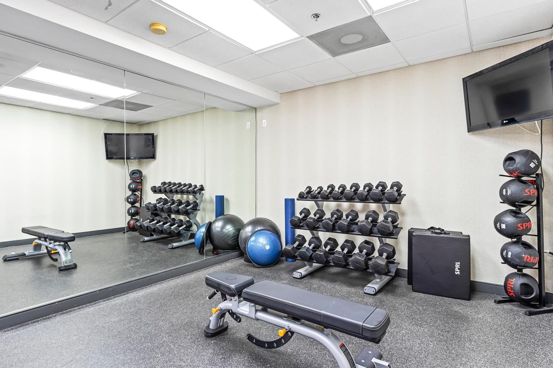 Holiday Inn - St. Petersburg West by IHG gallery photo in St Petersburg, FL — image 35
