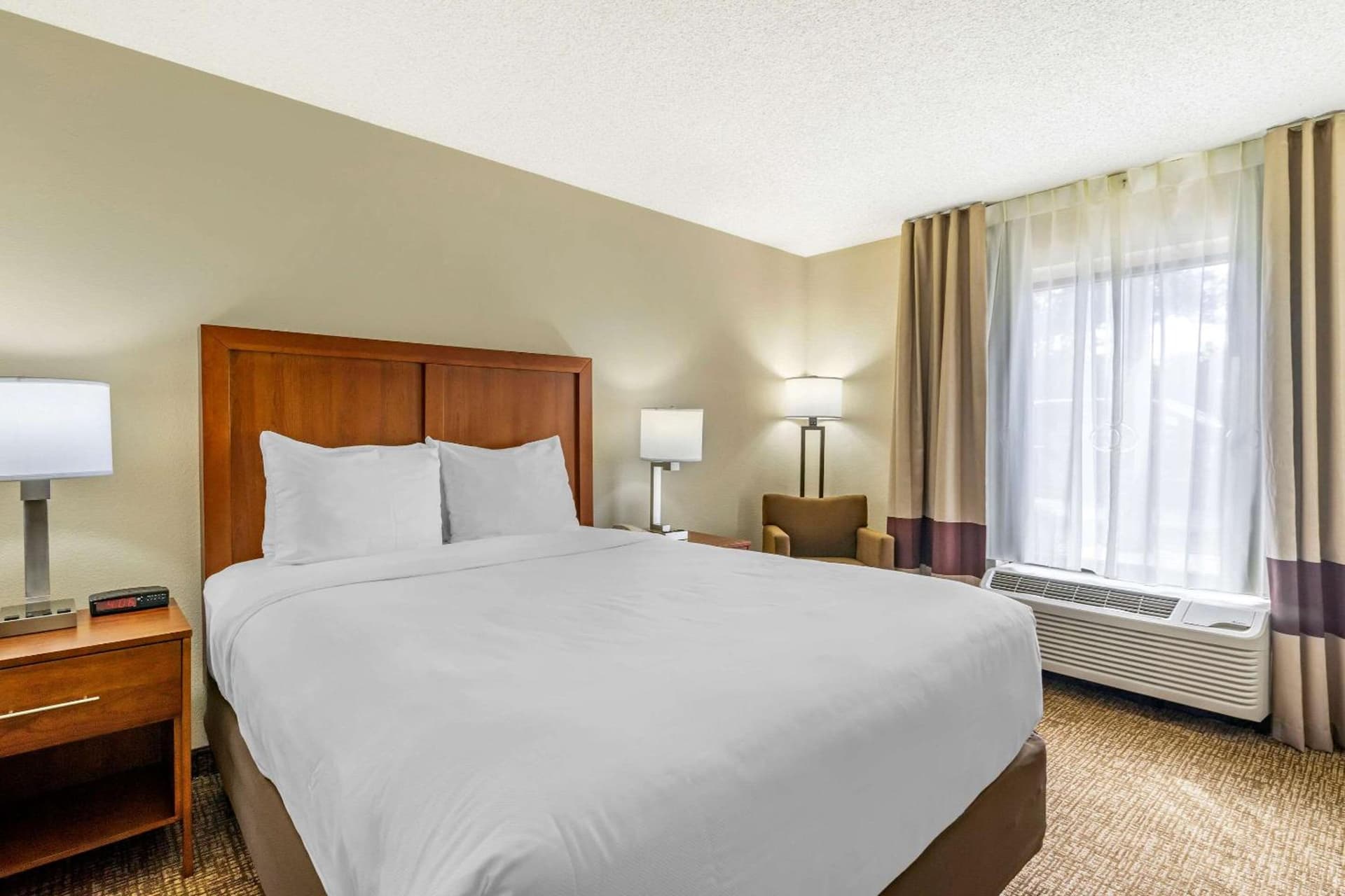 Comfort Inn & Suites St Pete - Clearwater International Airport gallery photo in Clearwater, FL — image 13