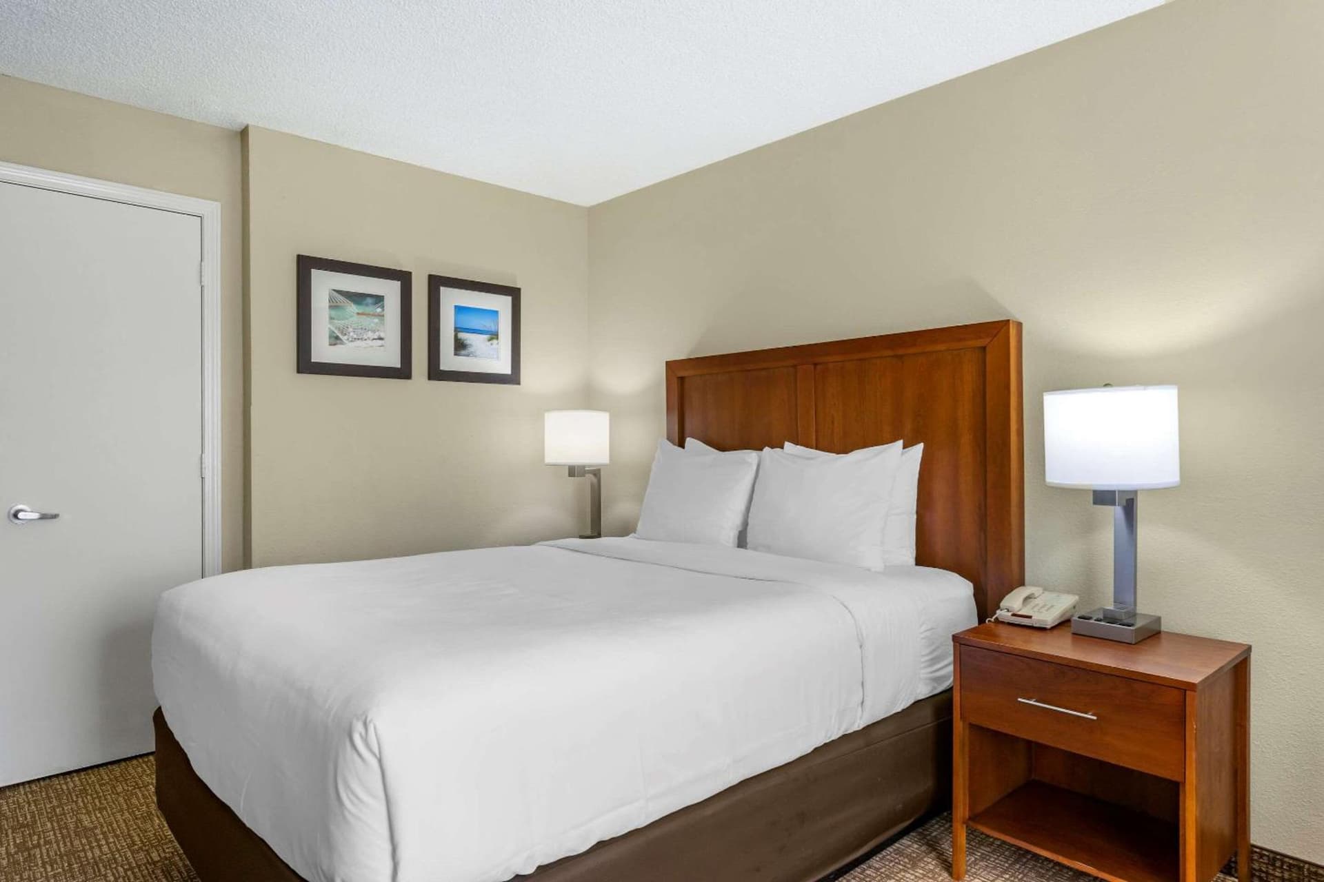 Comfort Inn & Suites St Pete - Clearwater International Airport gallery photo in Clearwater, FL — image 44