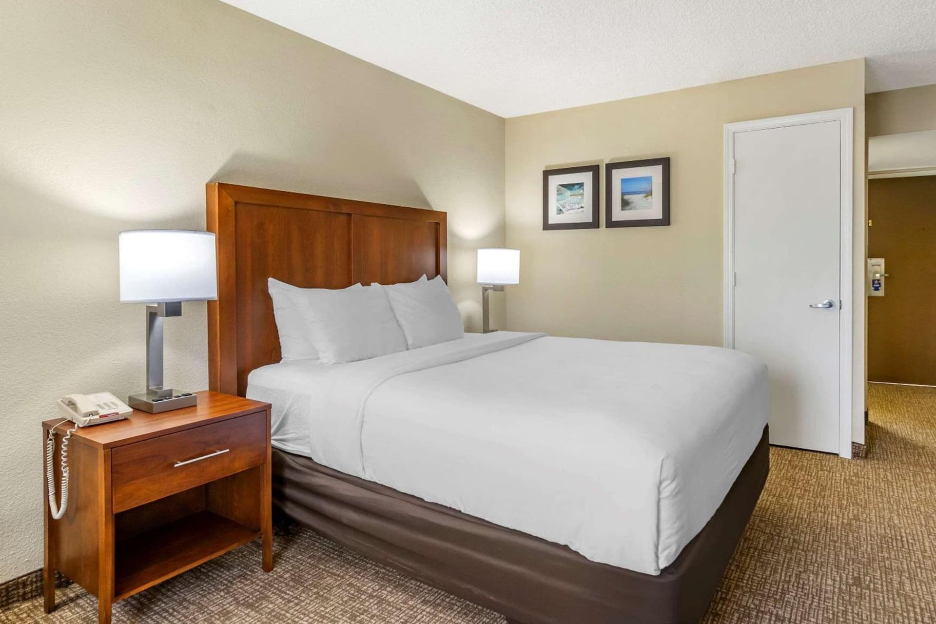 Comfort Inn & Suites St Pete - Clearwater International Airport gallery photo in Clearwater, FL — image 36