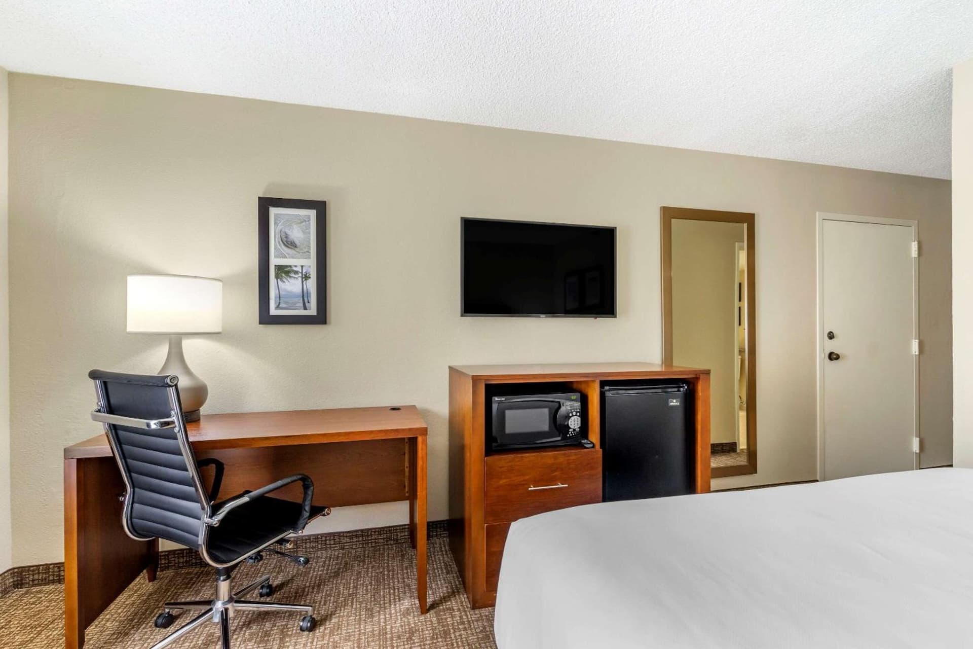 Comfort Inn & Suites St Pete - Clearwater International Airport gallery photo in Clearwater, FL — image 23