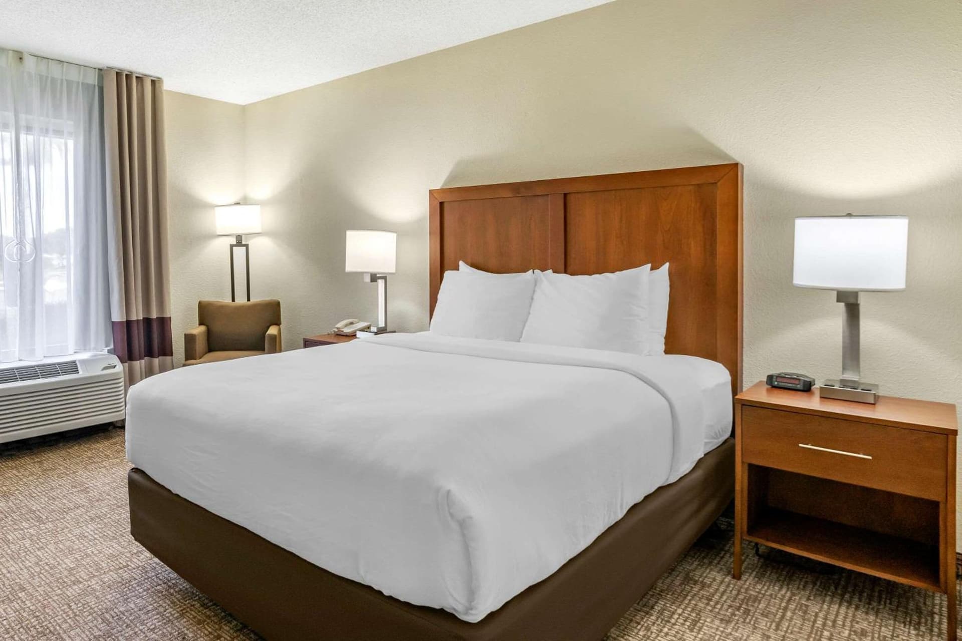 Comfort Inn & Suites St Pete - Clearwater International Airport gallery photo in Clearwater, FL — image 12