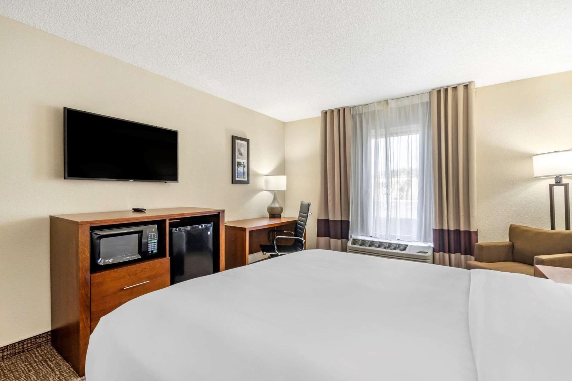 Comfort Inn & Suites St Pete - Clearwater International Airport gallery photo in Clearwater, FL — image 37