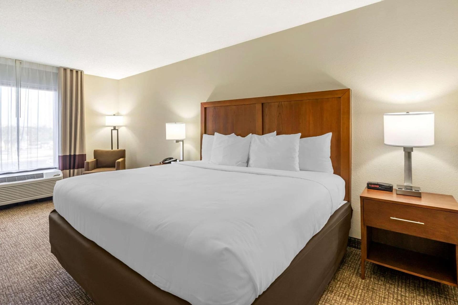 Comfort Inn & Suites St Pete - Clearwater International Airport gallery photo in Clearwater, FL — image 26