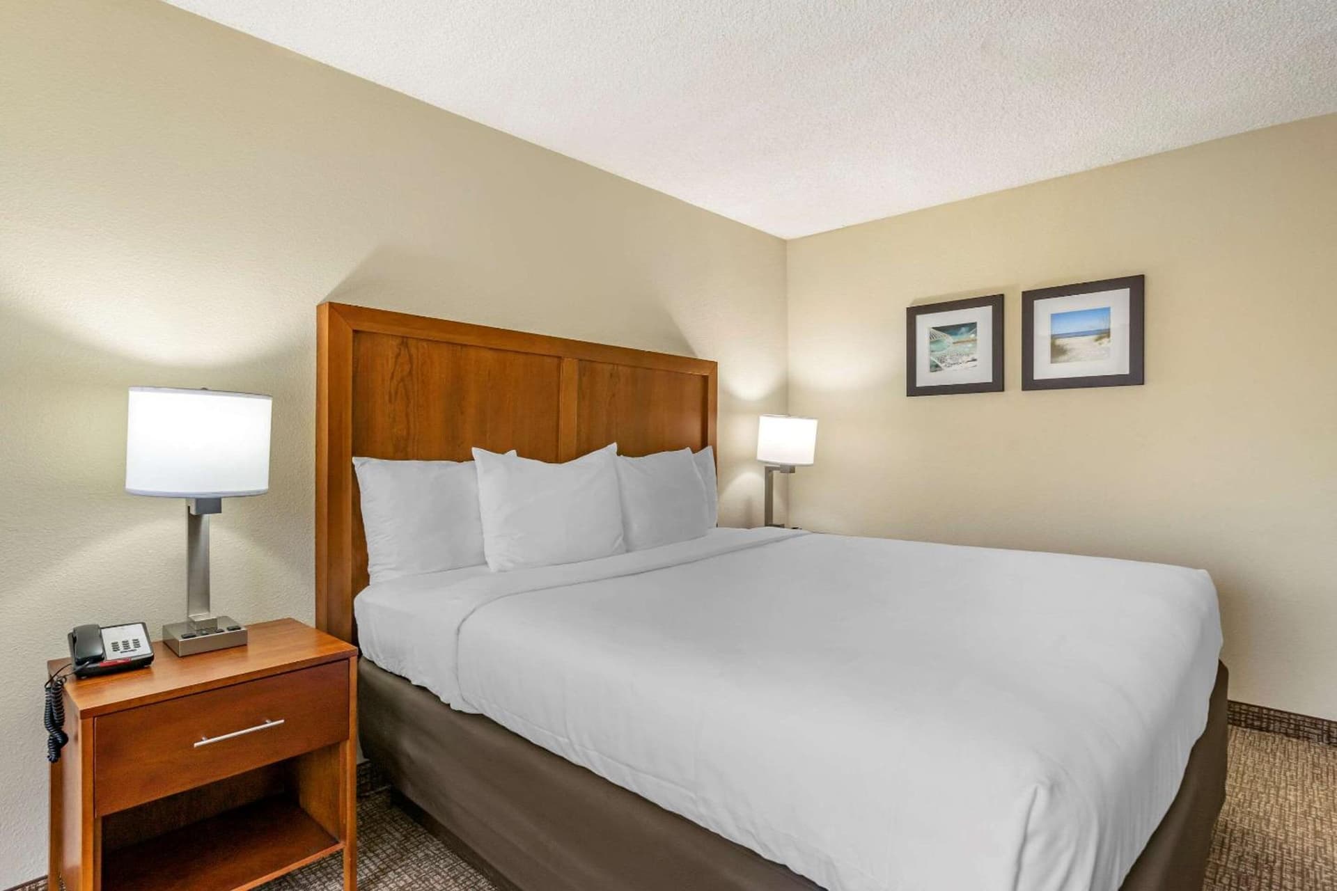 Comfort Inn & Suites St Pete - Clearwater International Airport gallery photo in Clearwater, FL — image 25