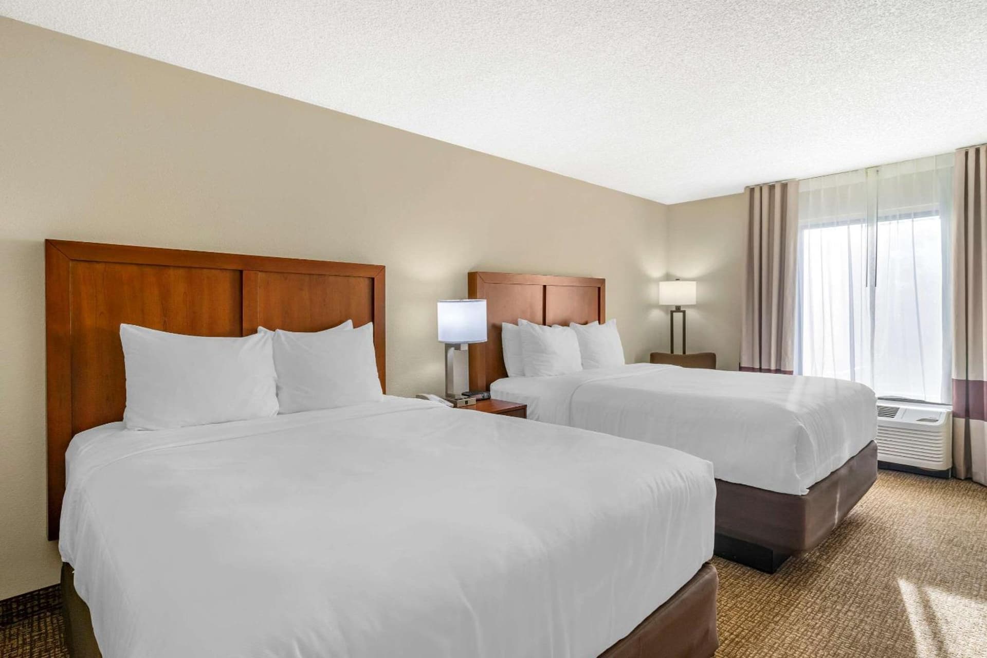 Comfort Inn & Suites St Pete - Clearwater International Airport gallery photo in Clearwater, FL — image 9