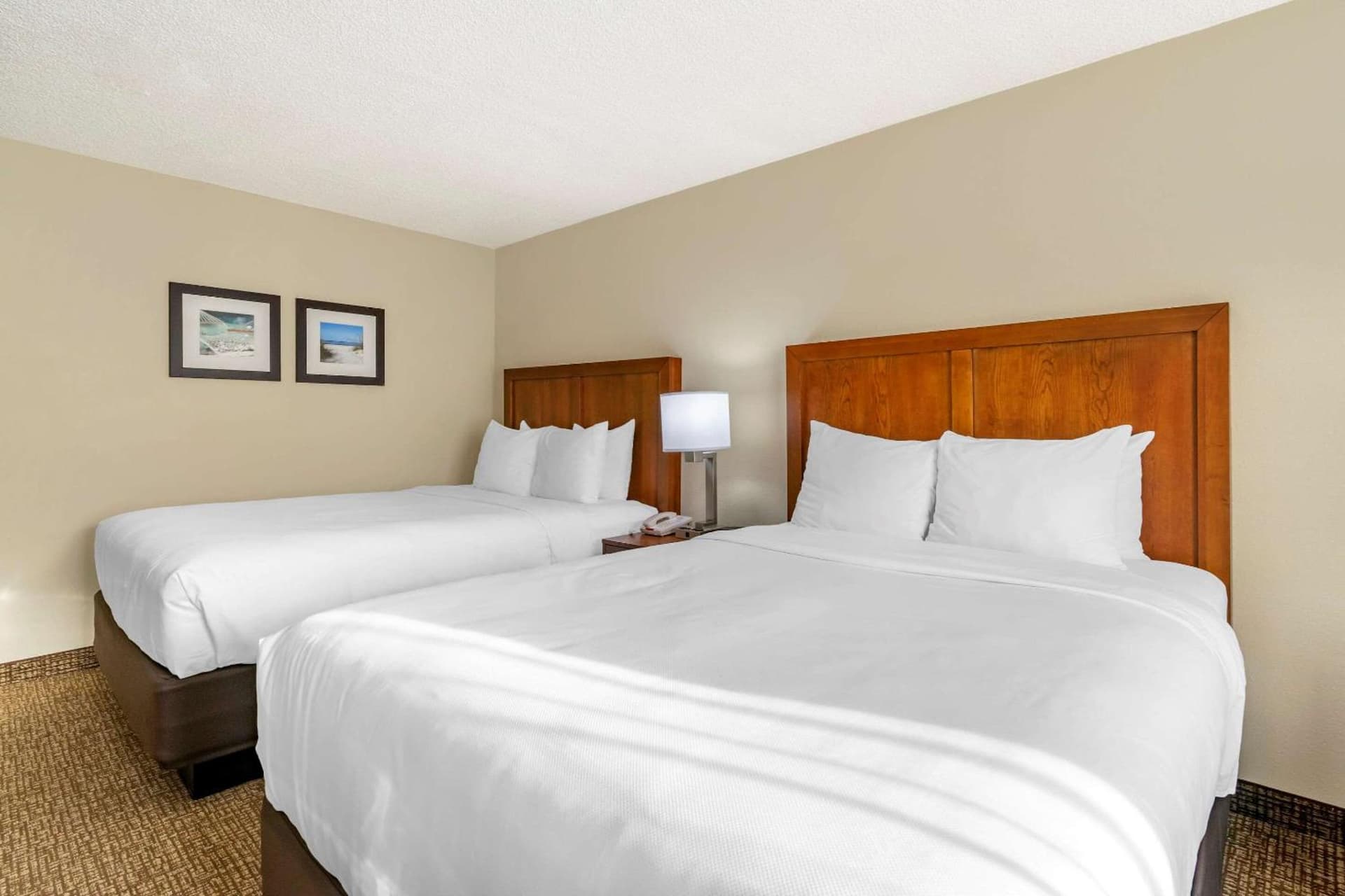 Comfort Inn & Suites St Pete - Clearwater International Airport interior in Clearwater, FL — gallery photo 2