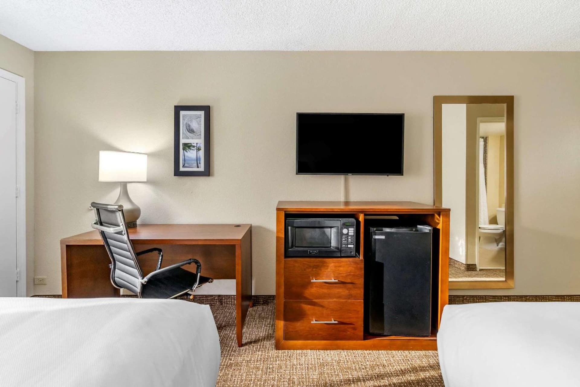Comfort Inn & Suites St Pete - Clearwater International Airport gallery photo in Clearwater, FL — image 21