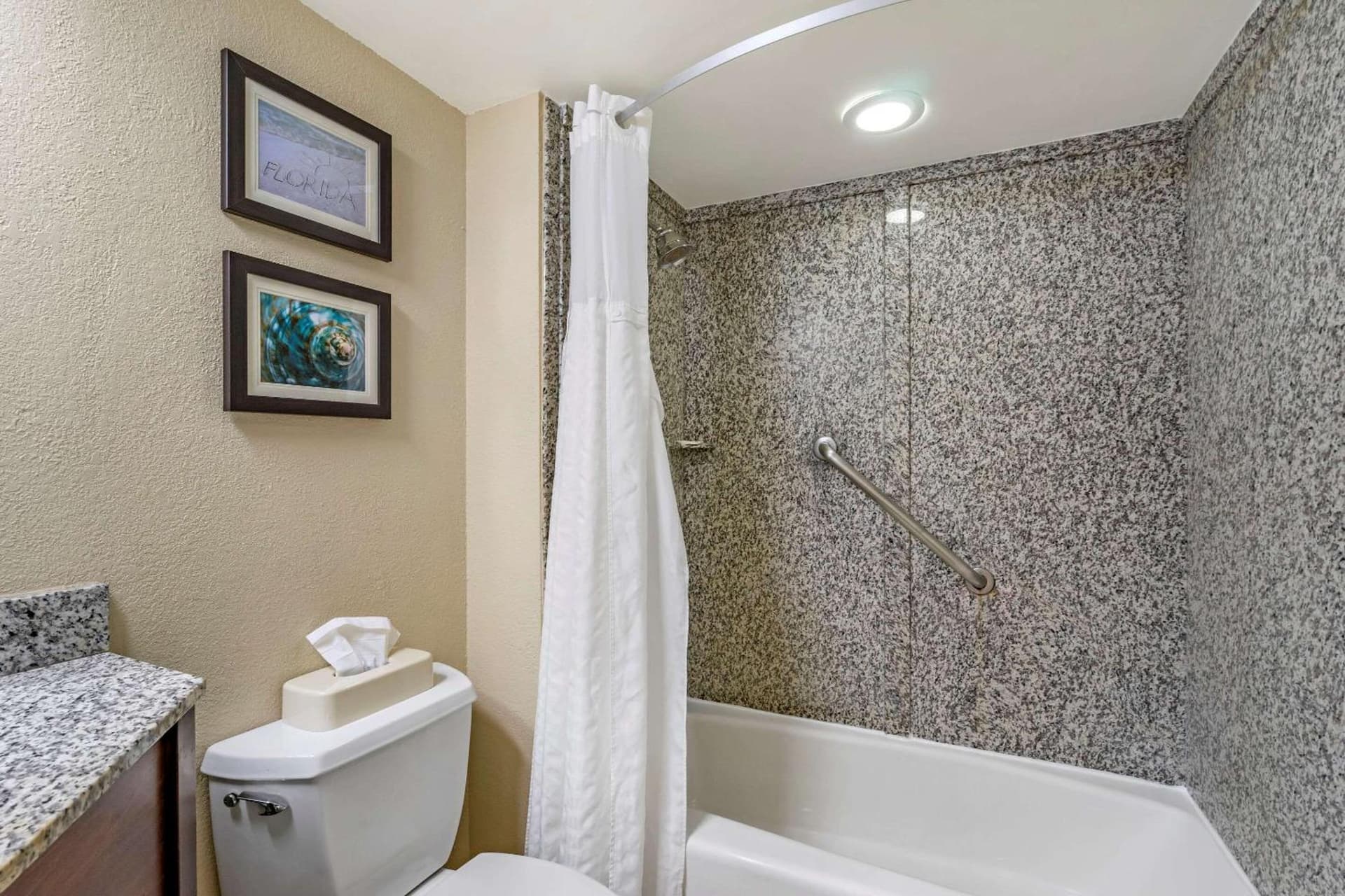 Comfort Inn & Suites St Pete - Clearwater International Airport gallery photo in Clearwater, FL — image 29