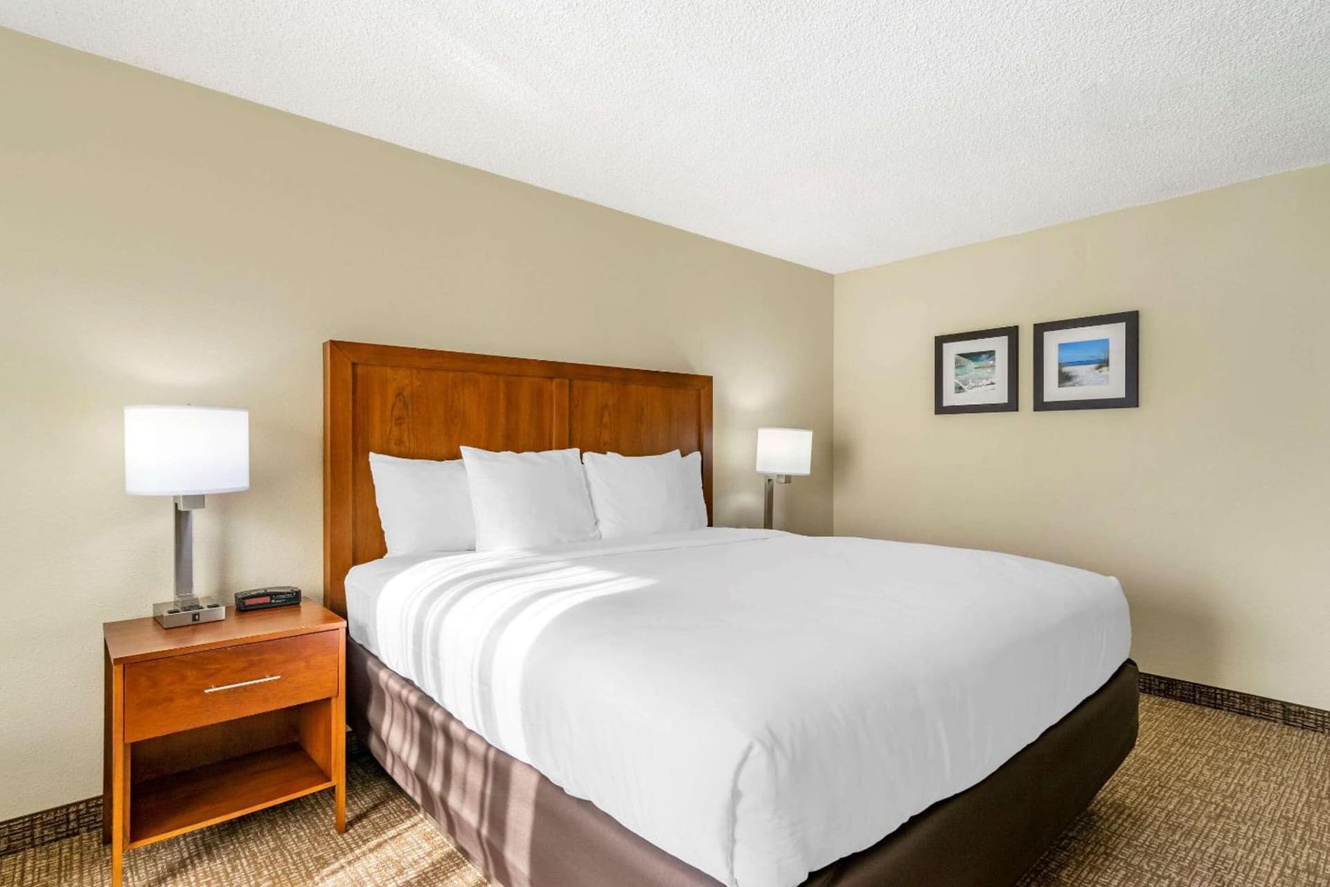 Comfort Inn & Suites St Pete - Clearwater International Airport gallery photo in Clearwater, FL — image 43