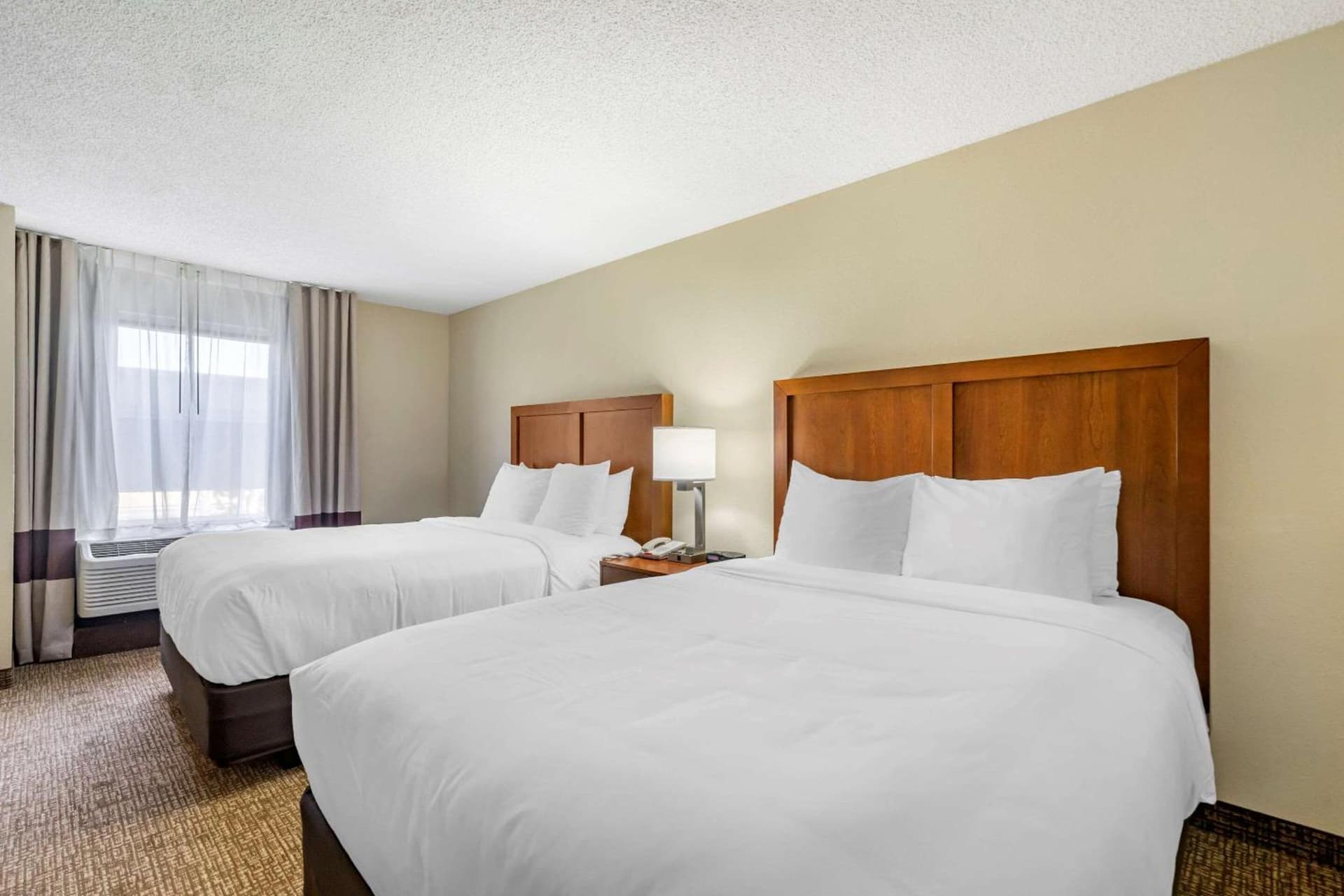 Comfort Inn & Suites St Pete - Clearwater International Airport gallery photo in Clearwater, FL — image 6