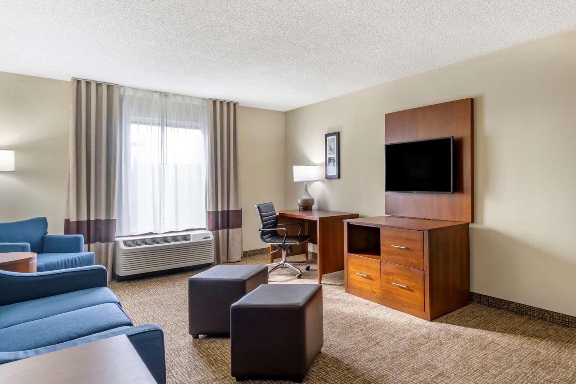 Comfort Inn & Suites St Pete - Clearwater International Airport gallery photo in Clearwater, FL — image 4