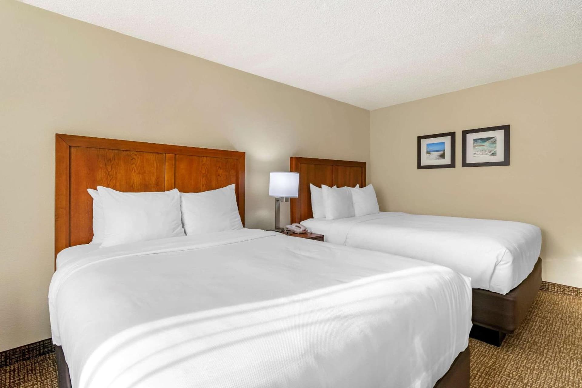 Comfort Inn & Suites St Pete - Clearwater International Airport gallery photo in Clearwater, FL — image 8
