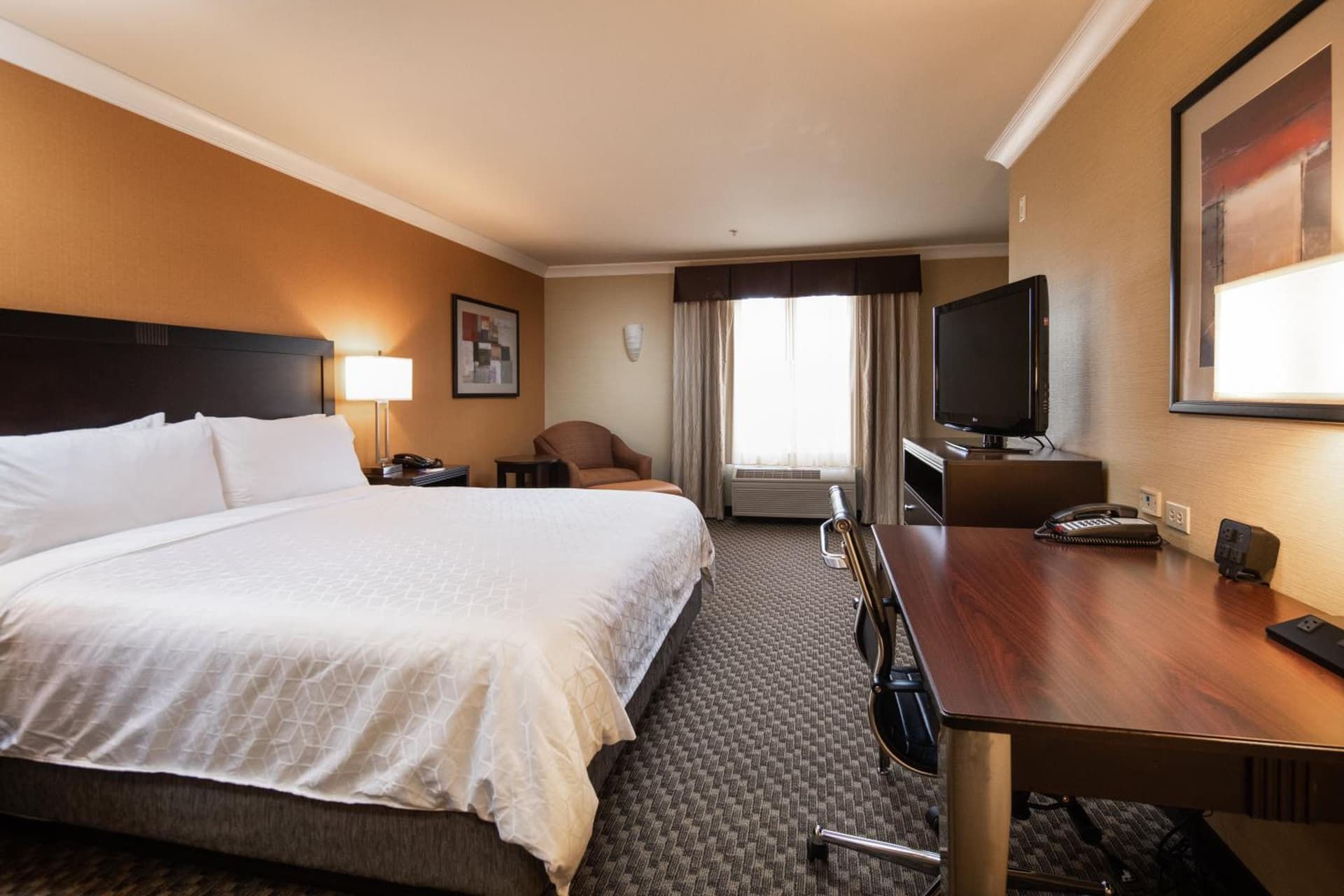Holiday Inn Express Castro Valley - I-580 by IHG gallery photo in Castro Valley, CA — image 40