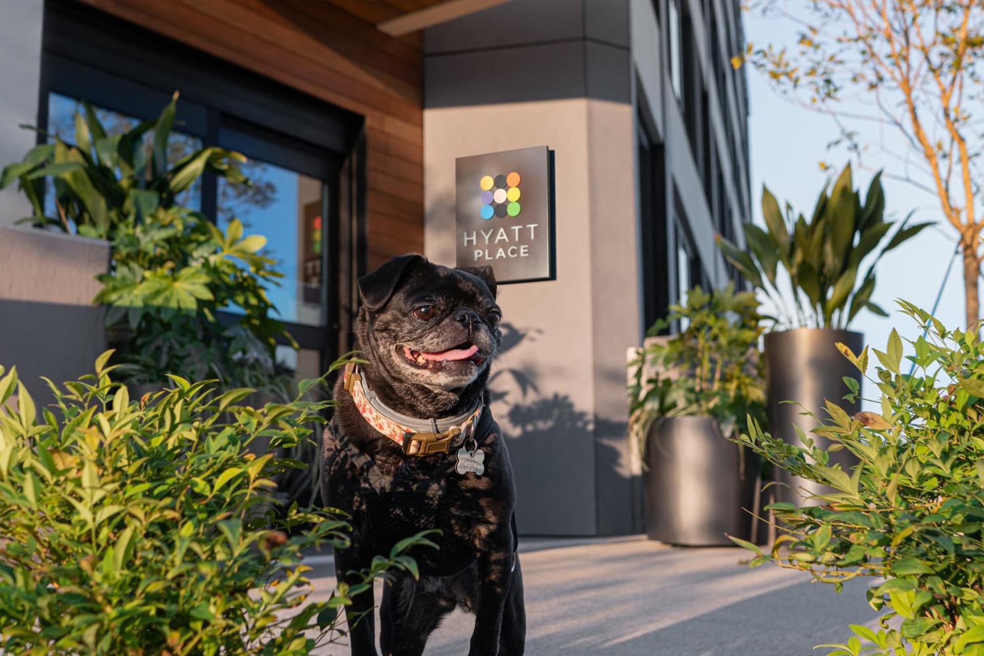 Hyatt Place Atlanta/Perimeter Center gallery photo in Atlanta, GA — image 26