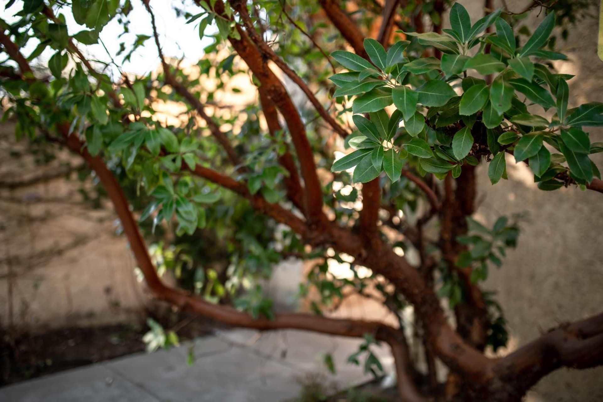 Seven Branches Venue and Inn gallery photo in Sonoma, CA — image 42