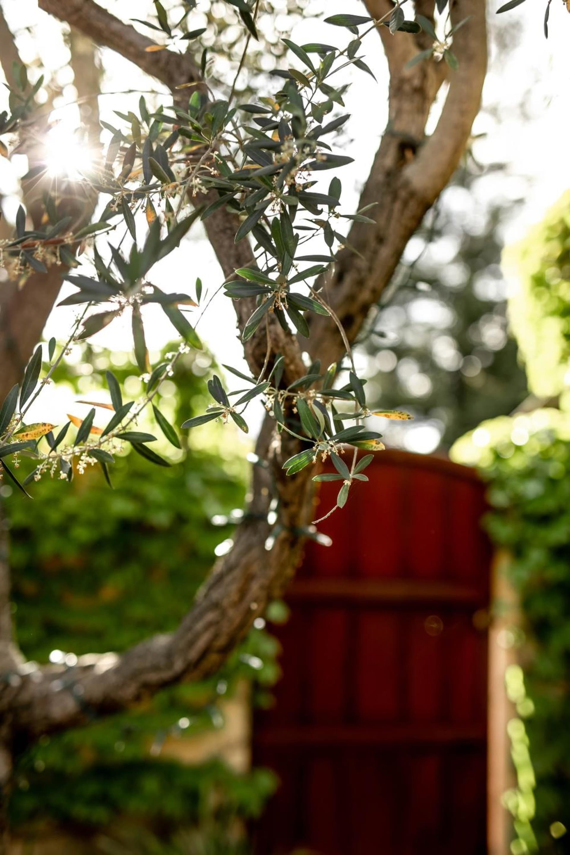 Seven Branches Venue and Inn gallery photo in Sonoma, CA — image 48