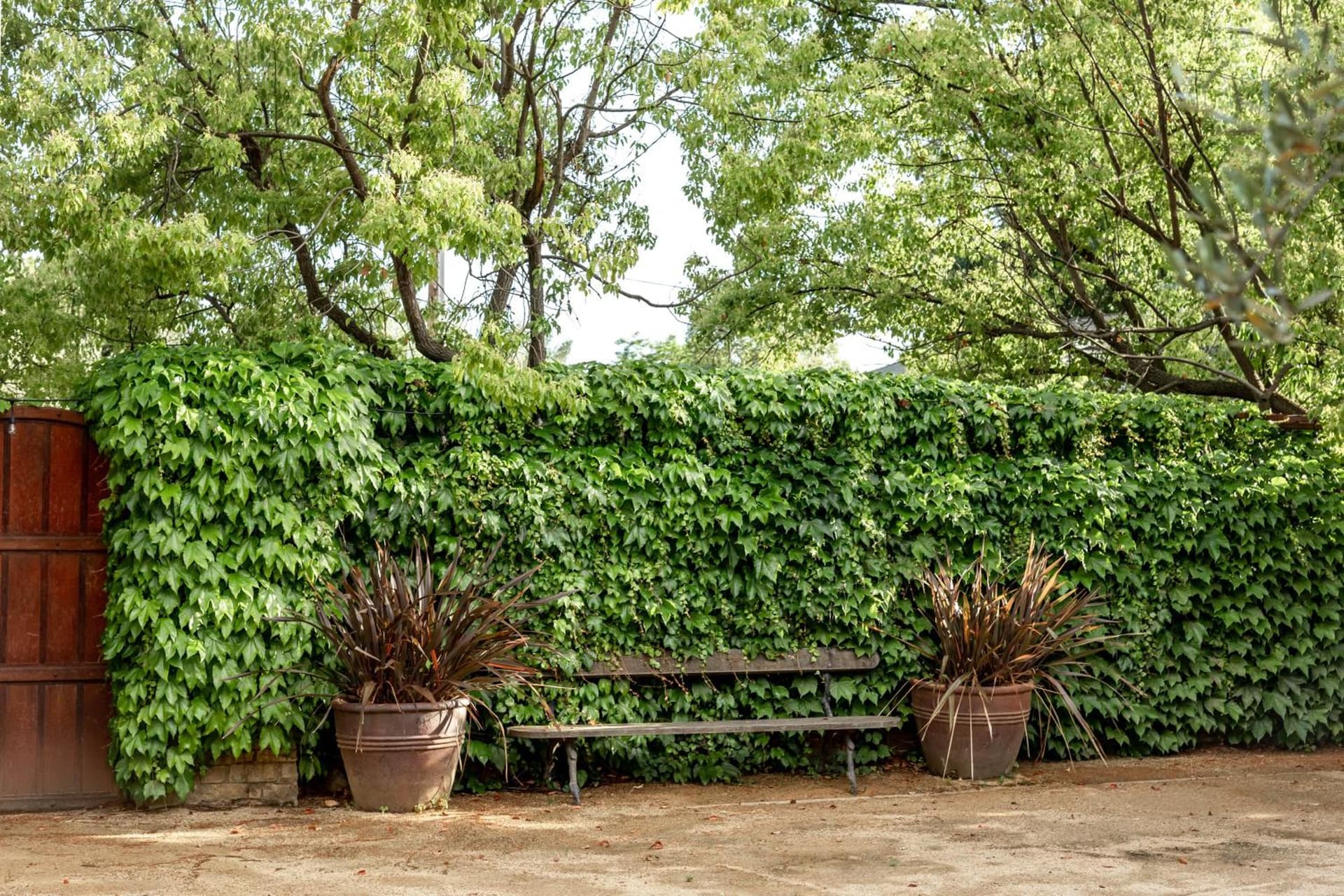 Seven Branches Venue and Inn gallery photo in Sonoma, CA — image 6