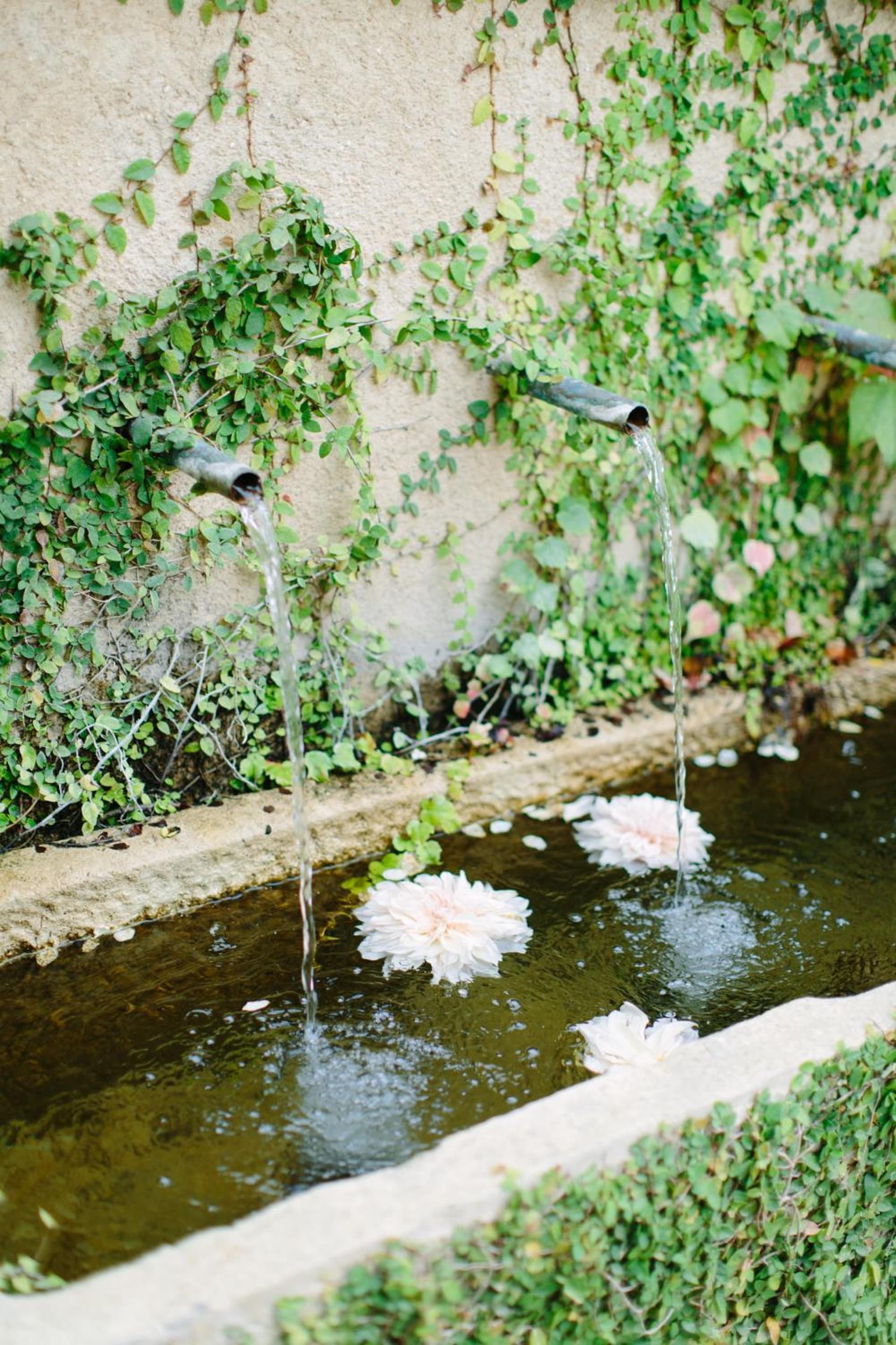 Seven Branches Venue and Inn gallery photo in Sonoma, CA — image 25