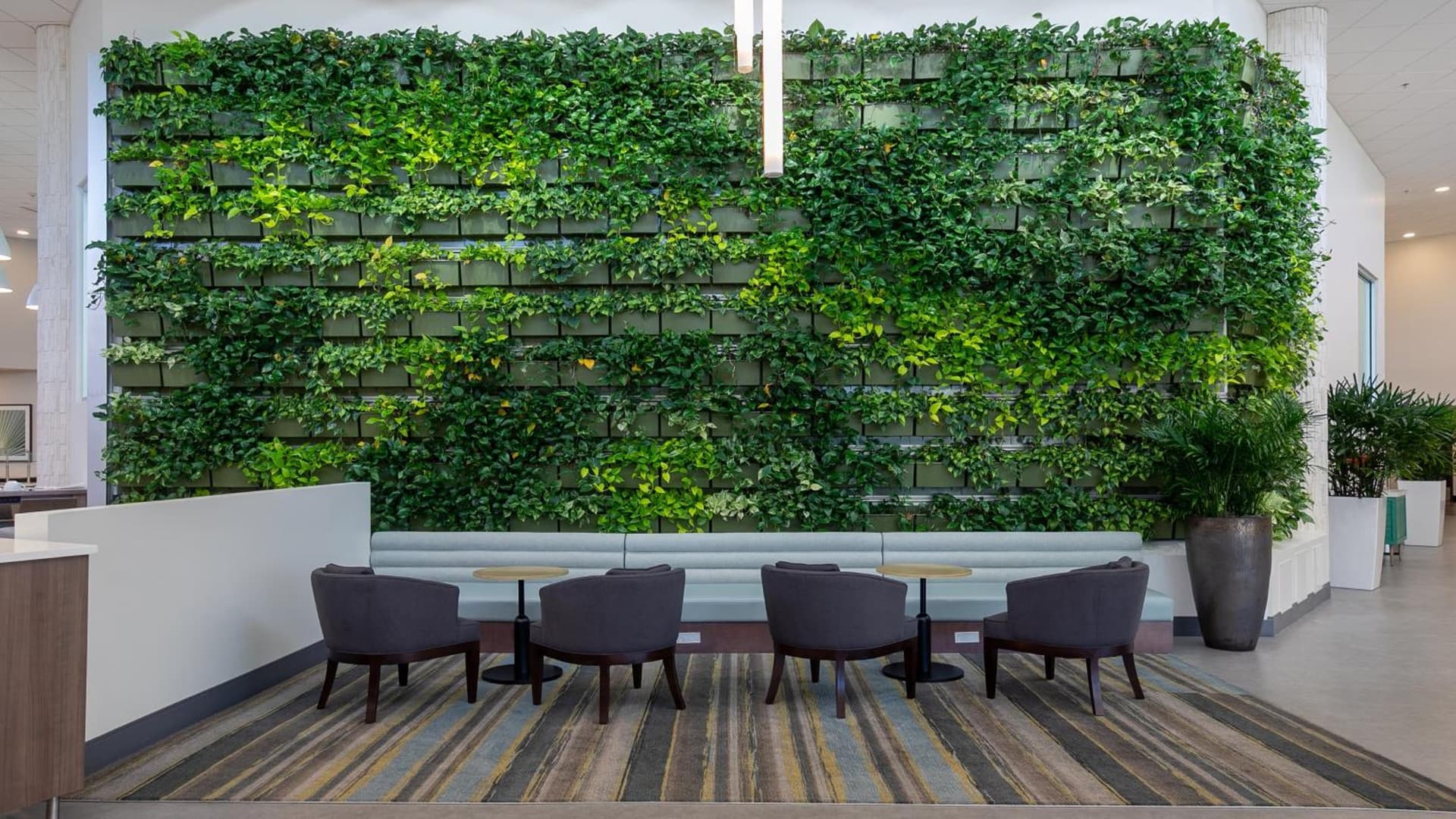 Holiday Inn Panama City by IHG gallery photo in Panama City, FL — image 30