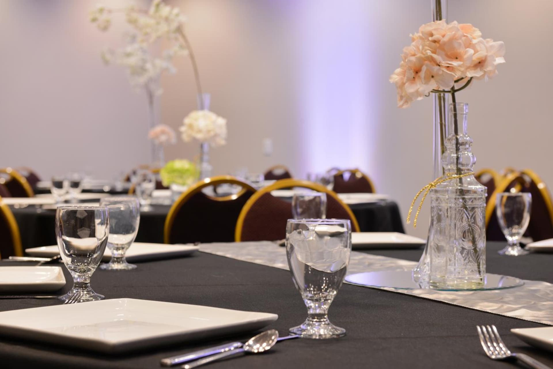 Holiday Inn Kansas City Airport by IHG gallery photo in Kansas City, KS — image 26