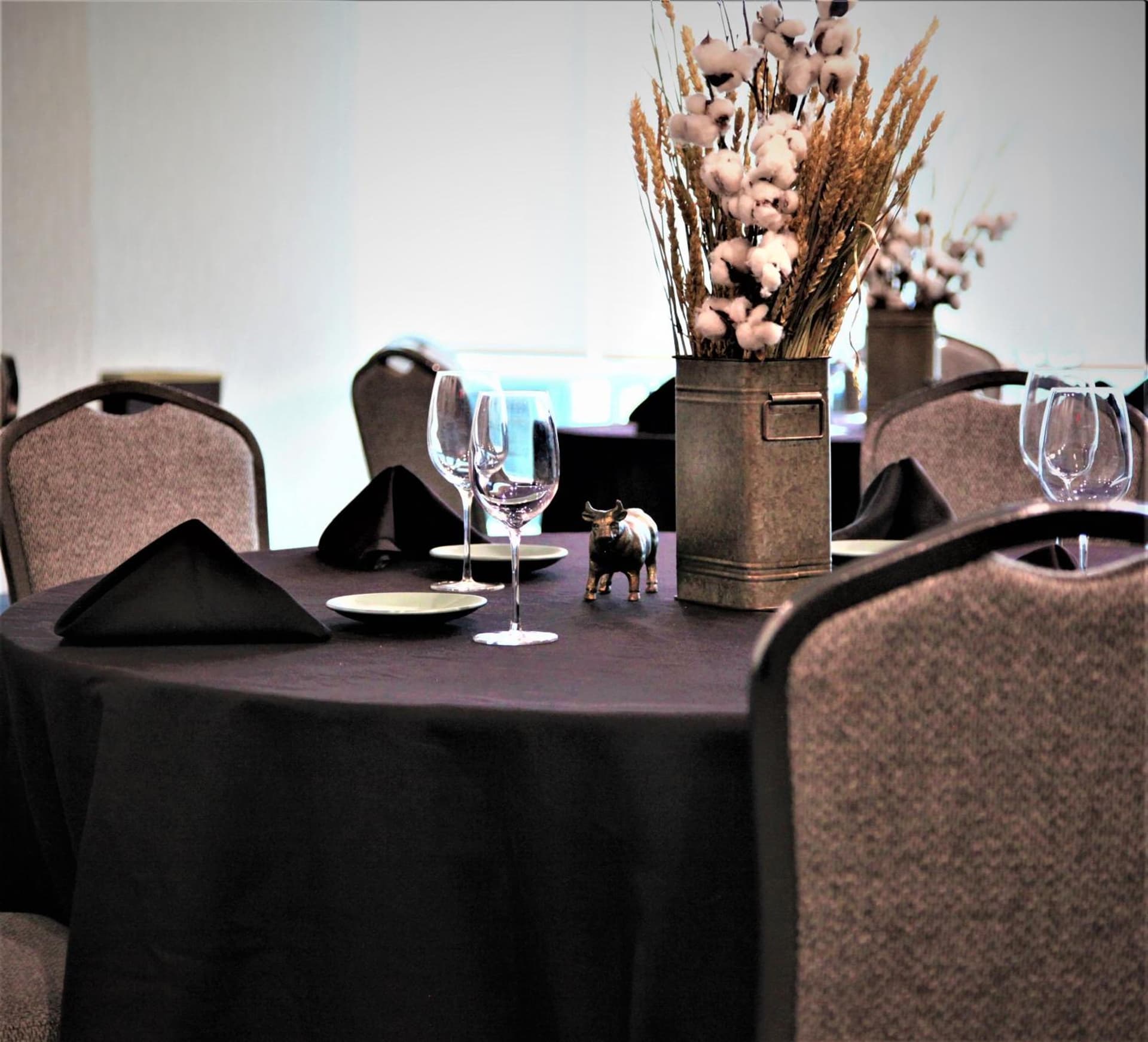 Hotel Indigo Frisco by IHG gallery photo in Frisco, TX — image 20