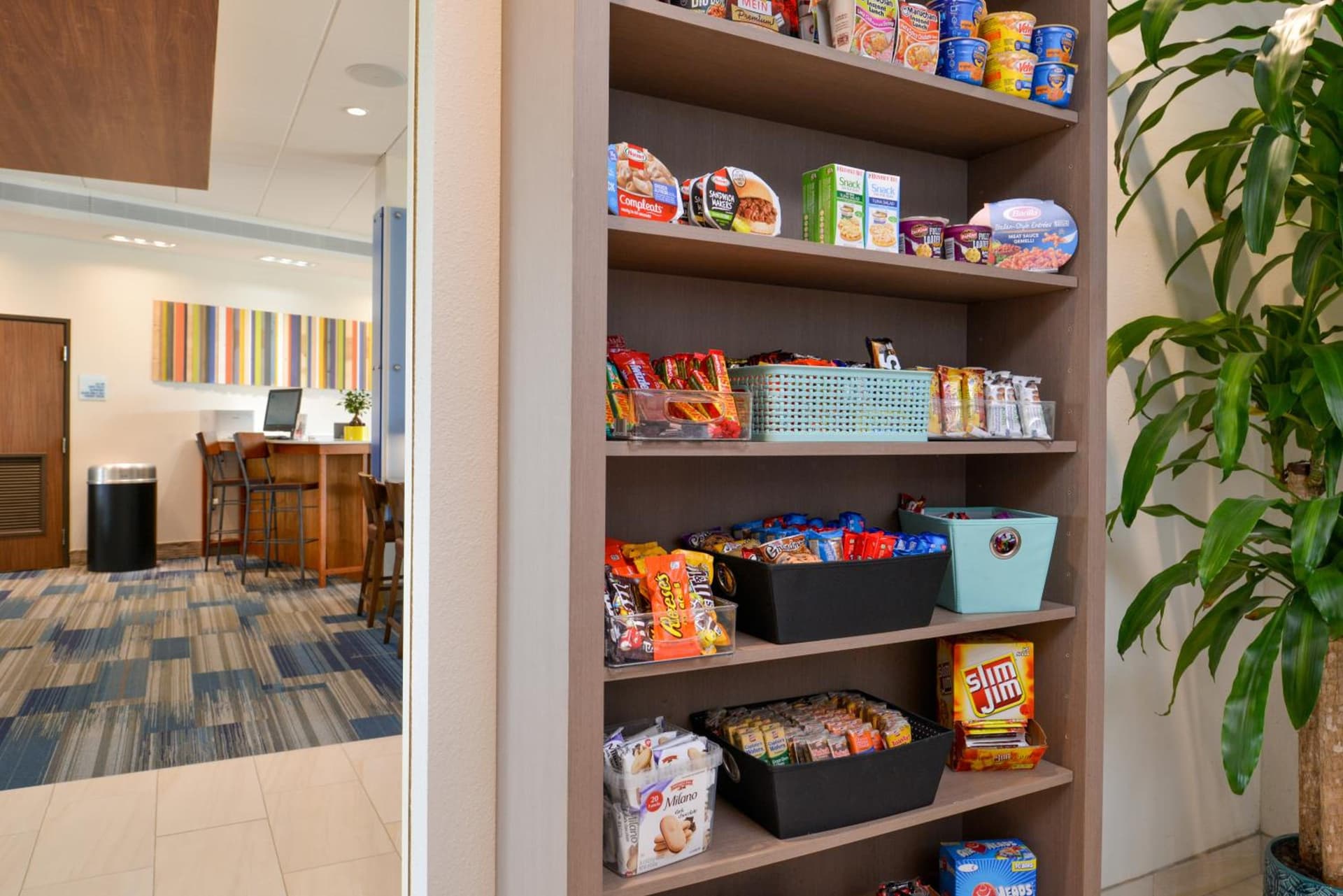 Holiday Inn Express & Suites Trinity by IHG gallery photo in Trinity, FL — image 38