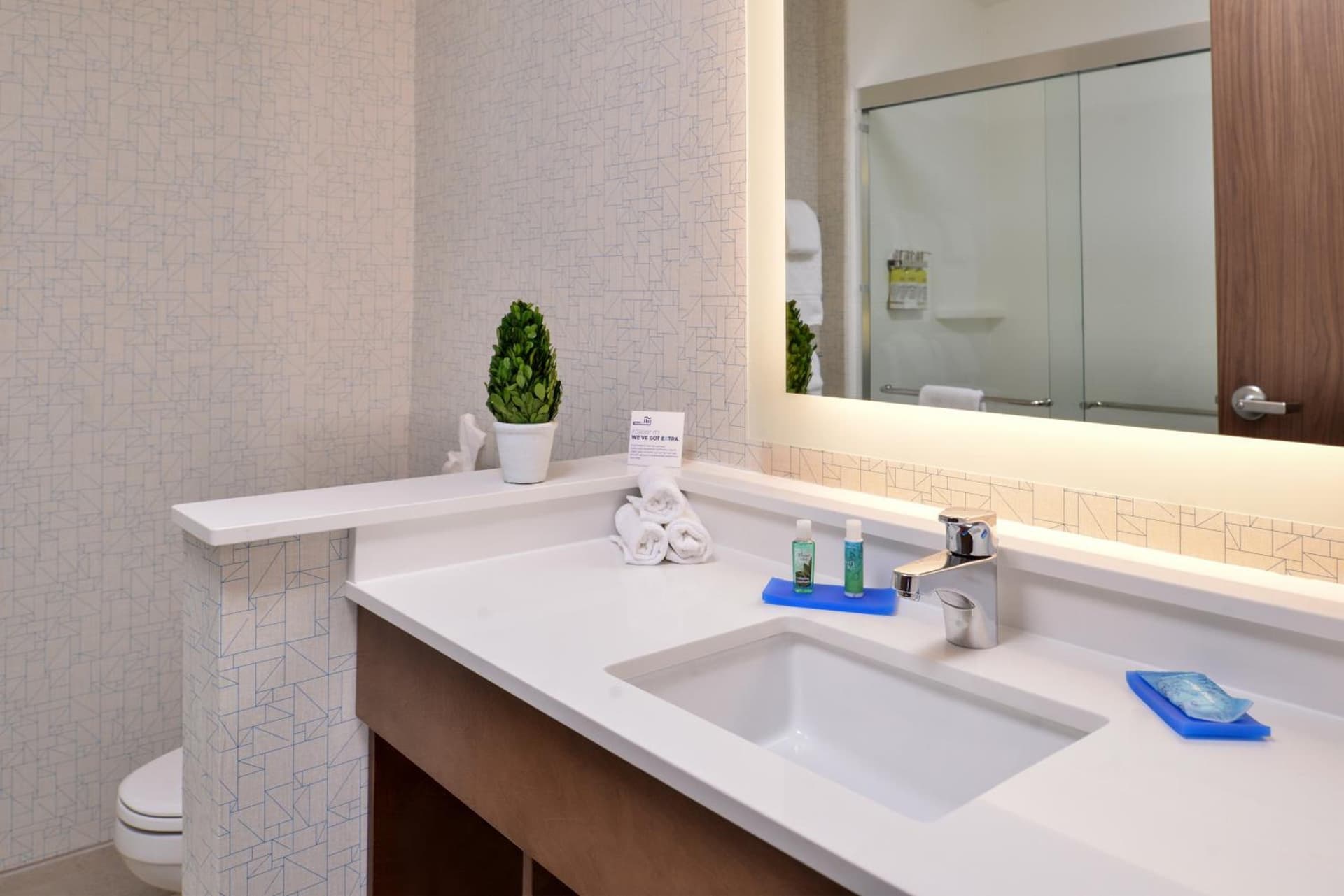 Holiday Inn Express & Suites Alachua - Gainesville Area by IHG gallery photo in Alachua, FL — image 68