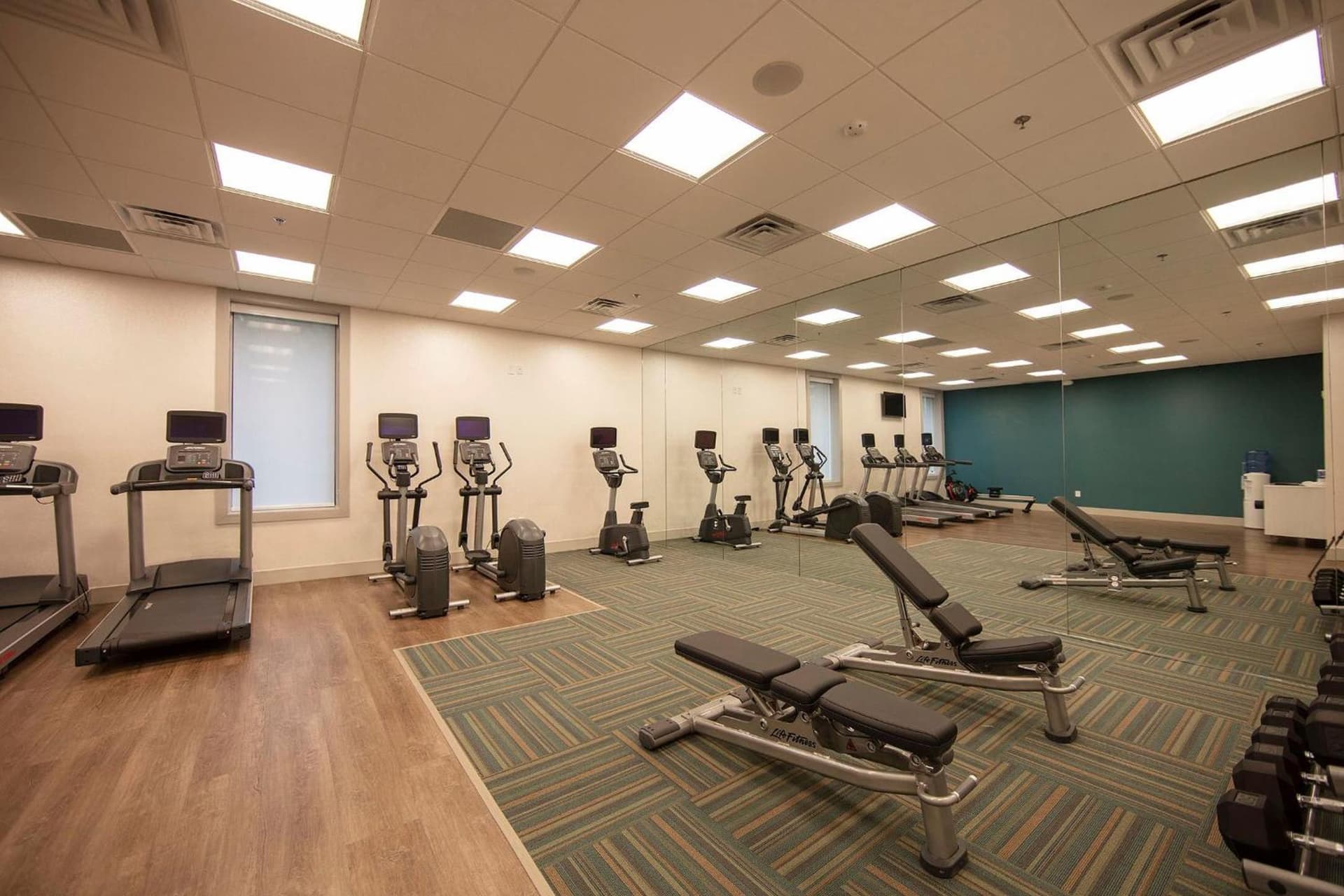 Holiday Inn Express Athens - University Area by IHG property views in Athens, GA — gallery photo 3