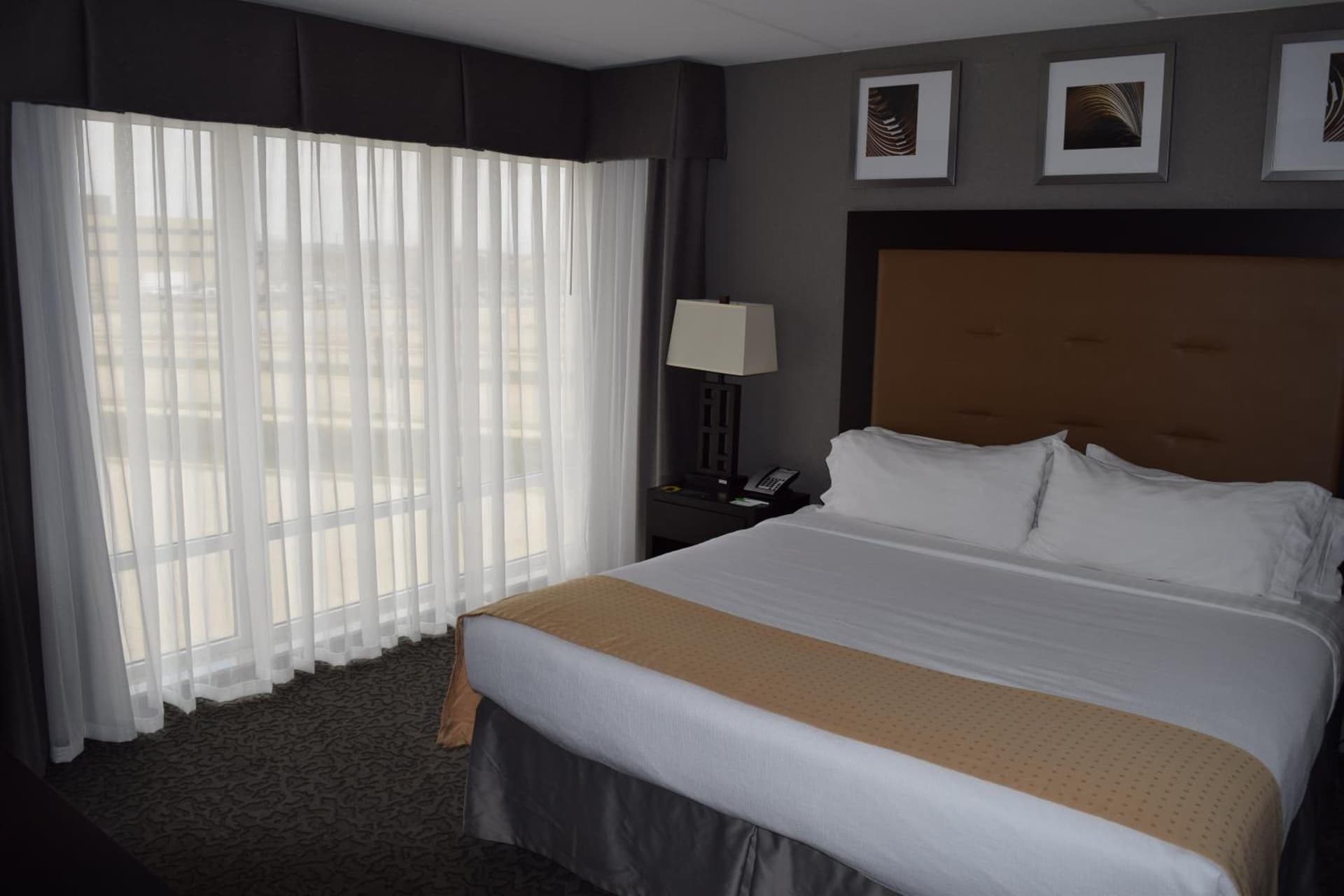 Holiday Inn and Suites East Peoria by IHG gallery photo in Peoria, IL — image 6