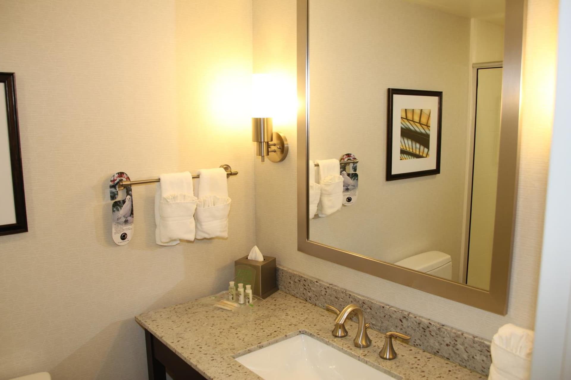 Holiday Inn and Suites East Peoria by IHG gallery photo in Peoria, IL — image 58