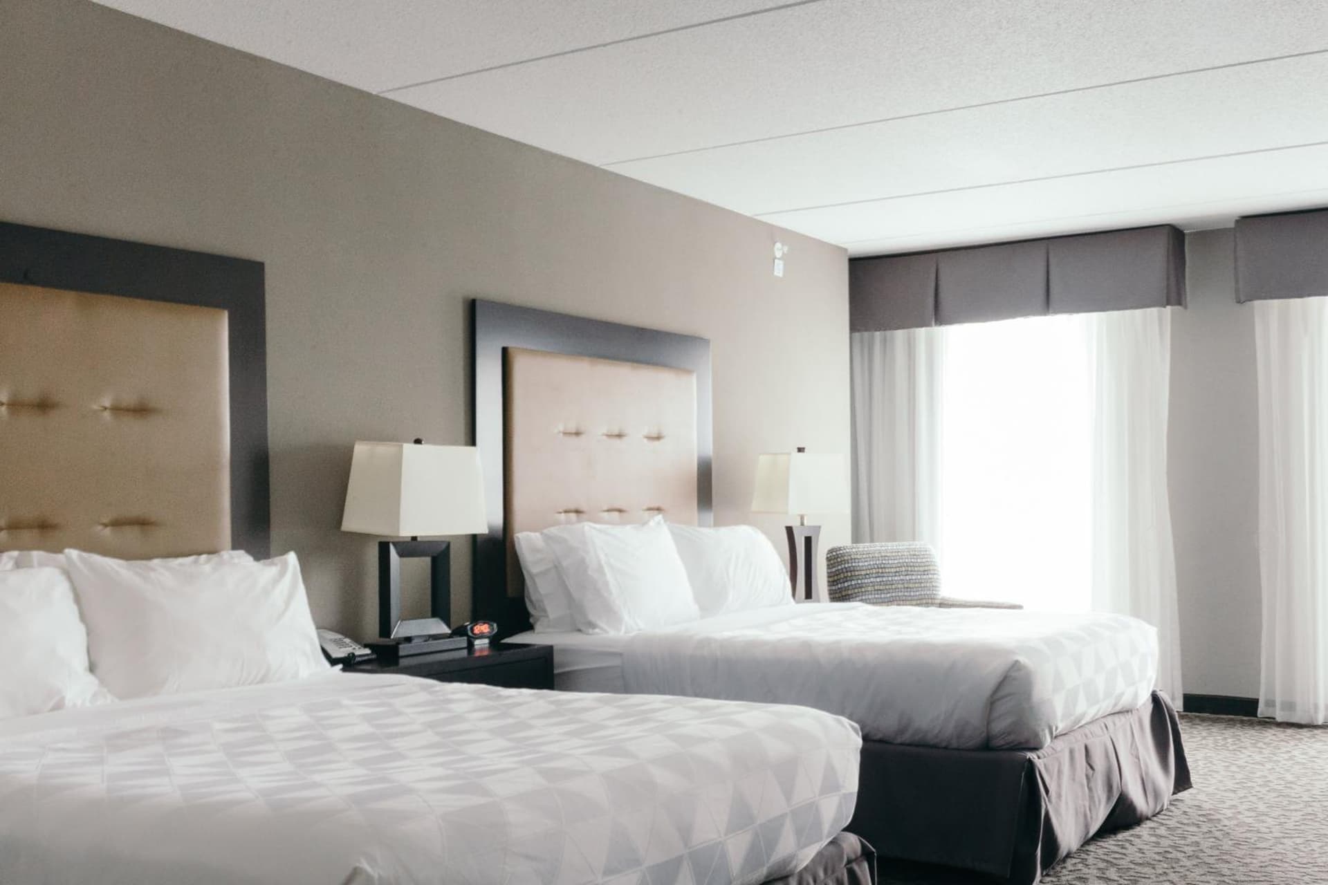 Holiday Inn and Suites East Peoria by IHG gallery photo in Peoria, IL — image 78