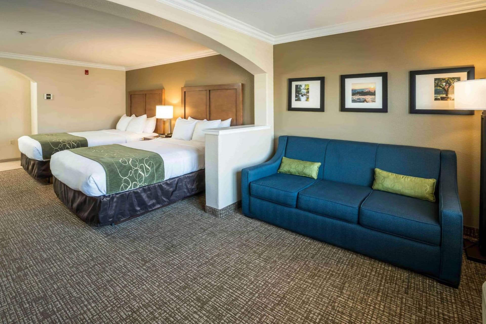 Comfort Suites Fresno River Park gallery photo in Fresno, CA — image 23