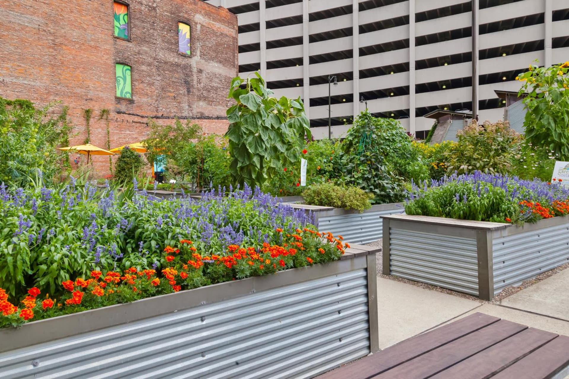 Hotel Indigo Detroit Downtown by IHG gallery photo in Detroit, MI — image 22