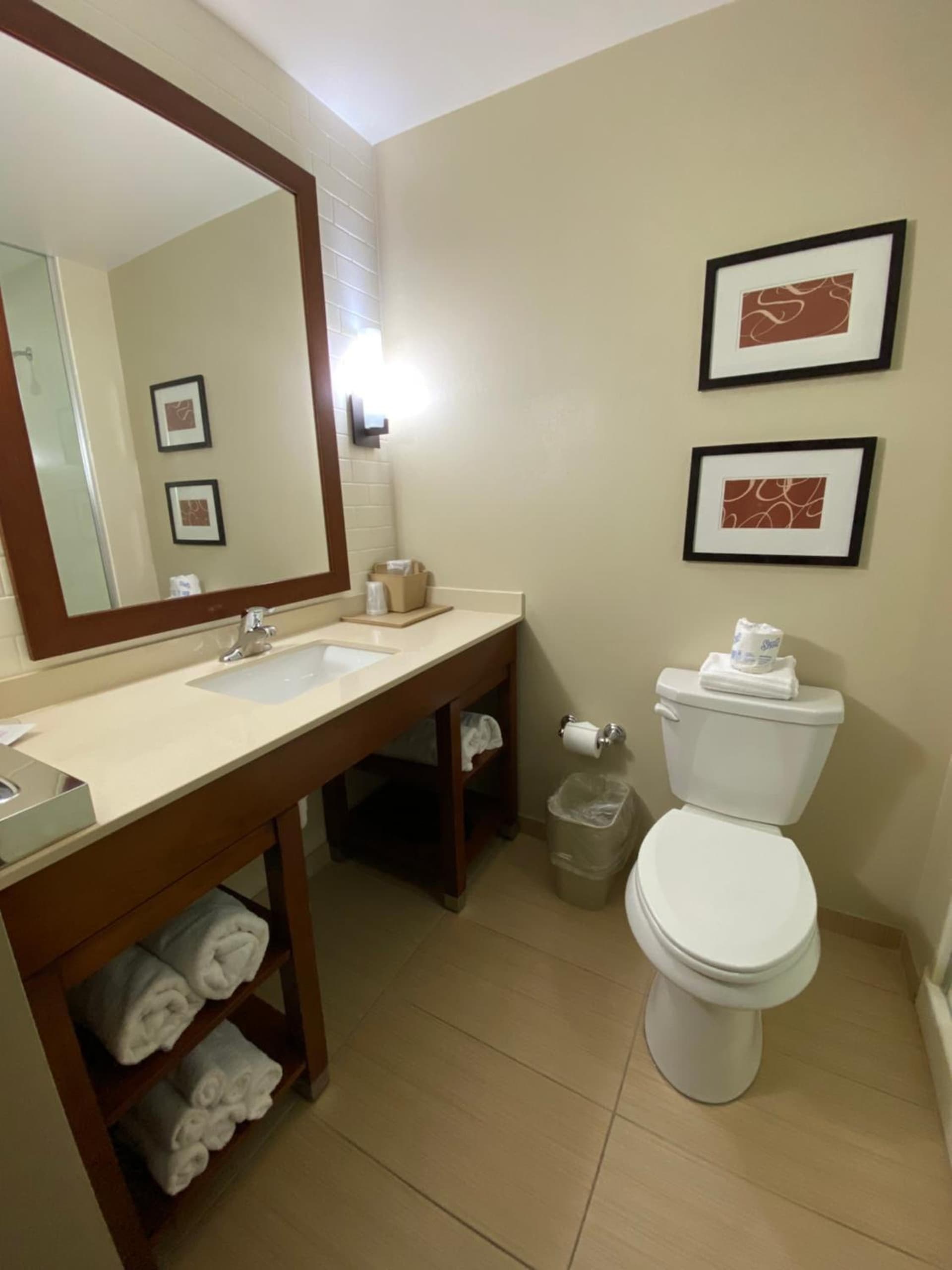 Comfort Suites Manheim - Lancaster gallery photo in Manheim, PA — image 6