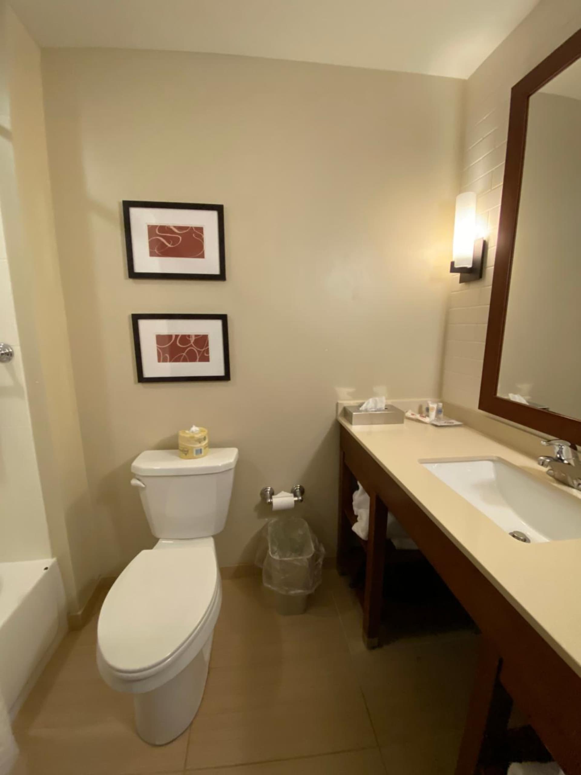 Comfort Suites Manheim - Lancaster gallery photo in Manheim, PA — image 34