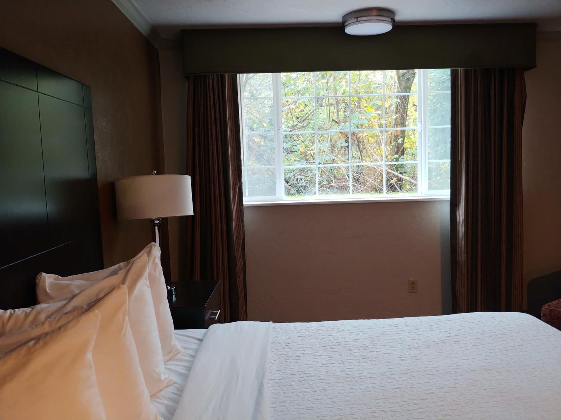 Best Western Plus Parkway Inn gallery photo in Wilsonville, OR — image 19