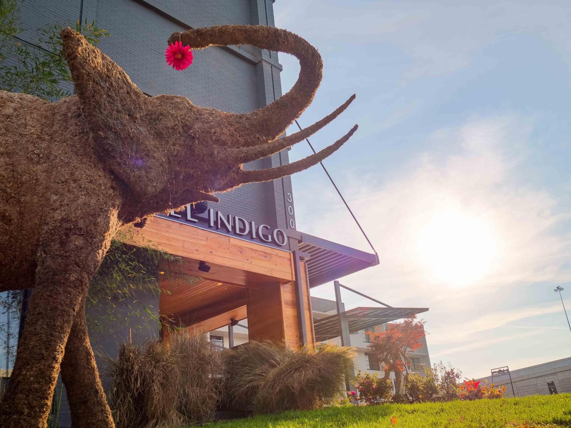 Hotel Indigo Chattanooga - Downtown by IHG gallery photo in Chattanooga, TN — image 32