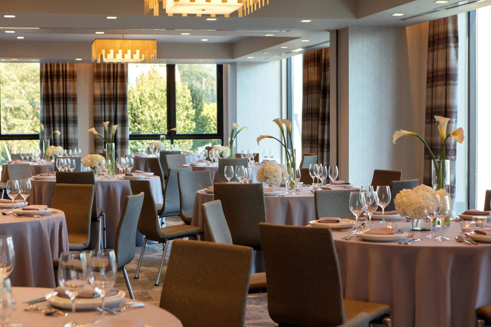 Kimpton Hotel Arras by IHG gallery photo in Asheville, NC — image 9