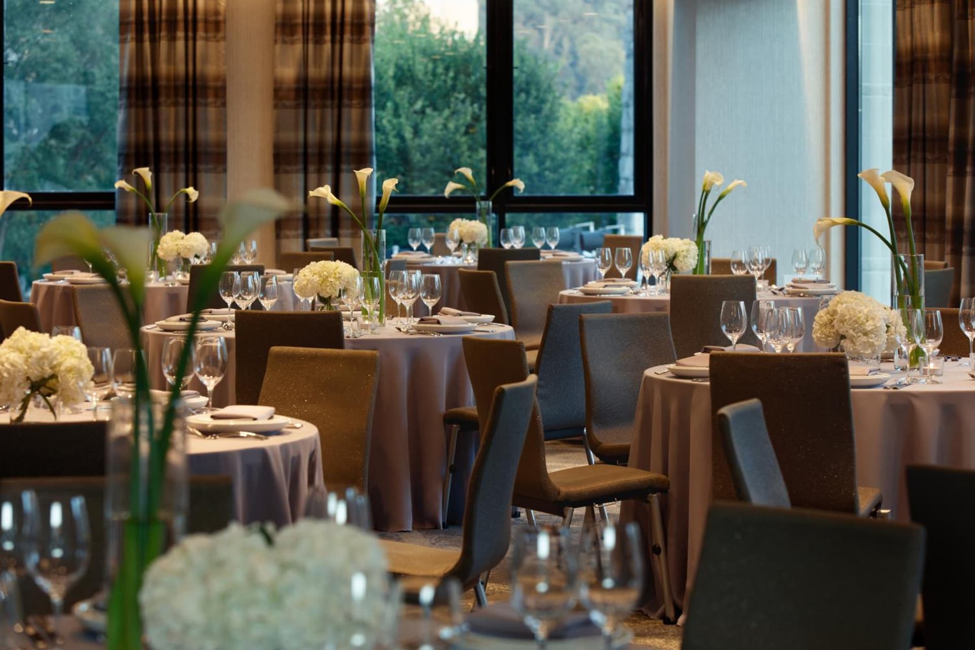 Kimpton Hotel Arras by IHG gallery photo in Asheville, NC — image 10